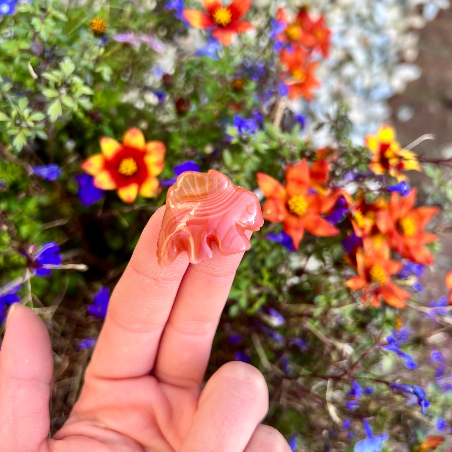 Natural Carnelian Seahorse & Stegosaurus Crystal Carvings