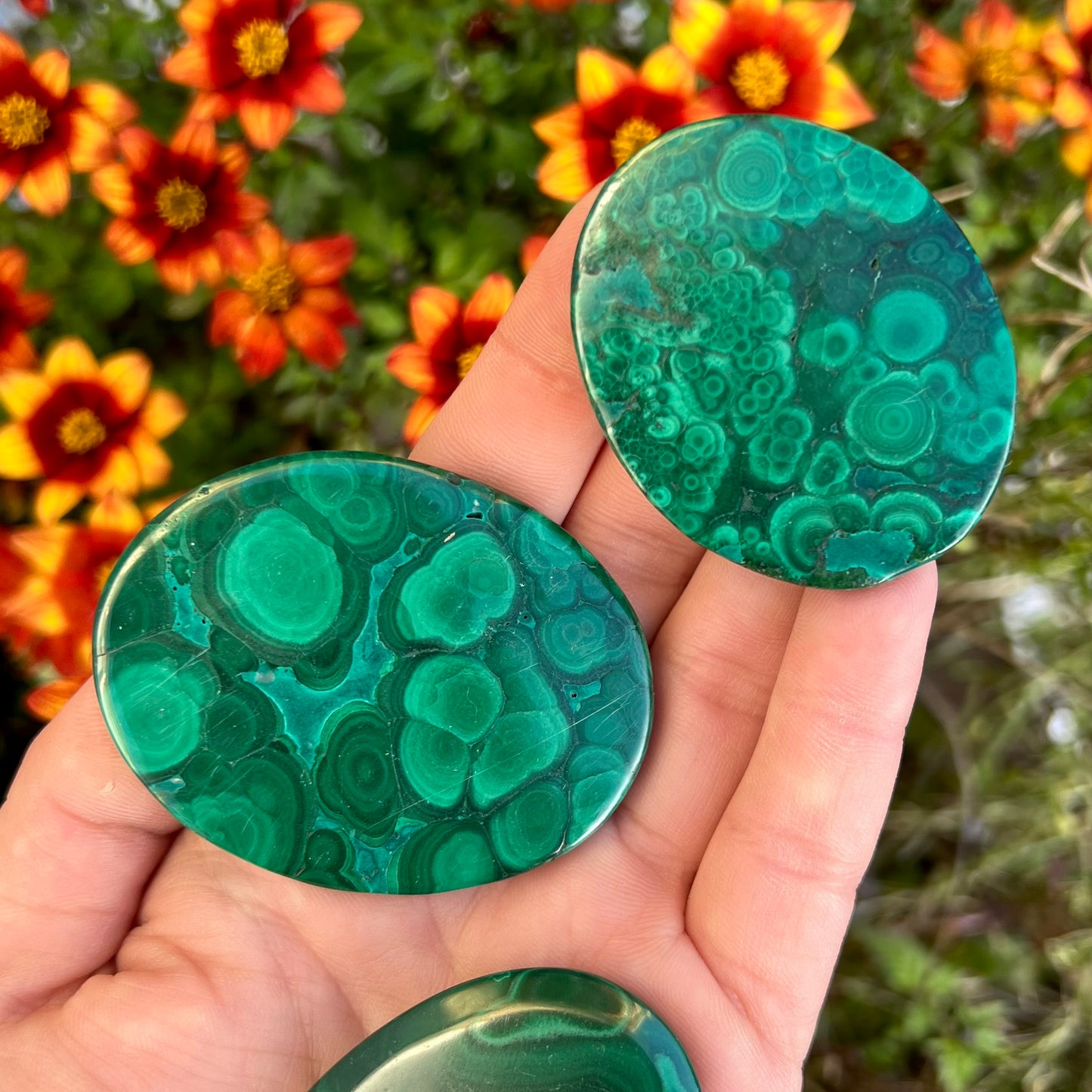Malachite Crystal Palmstones