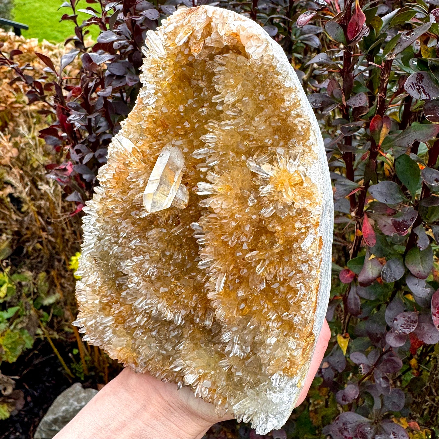 Golden Clear Quartz Cluster - 1.9KG
