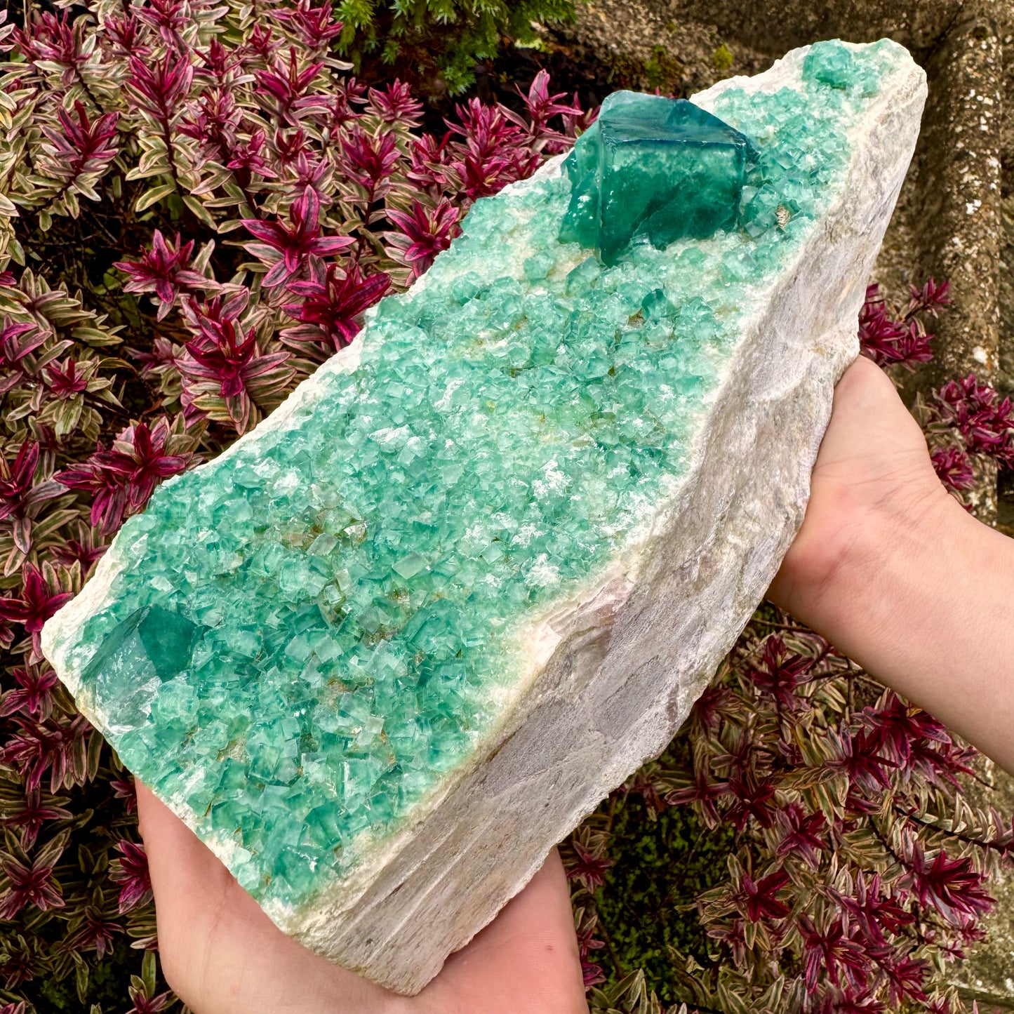 High Grade Green Fluorite Cube Crystal Specimen - 3.7KG