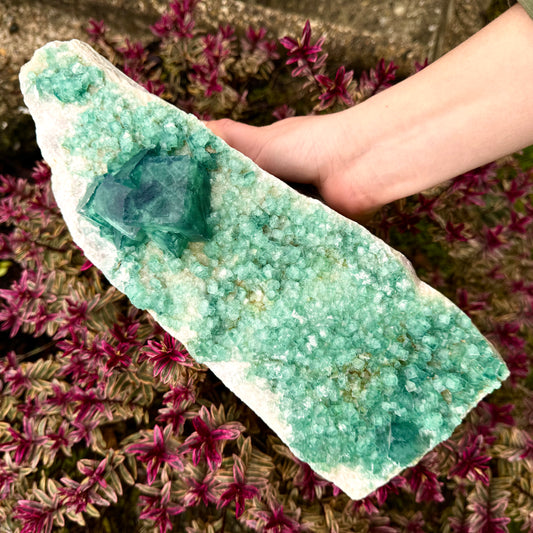 High Grade Green Fluorite Cube Crystal Specimen - 3.7KG