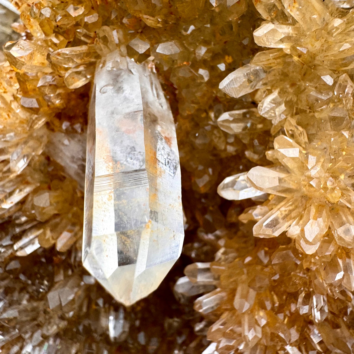 Golden Clear Quartz Cluster - 1.9KG