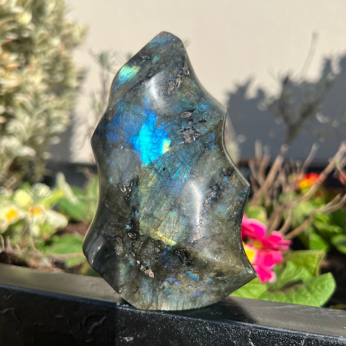 High Quality Labradorite Flame with Flash