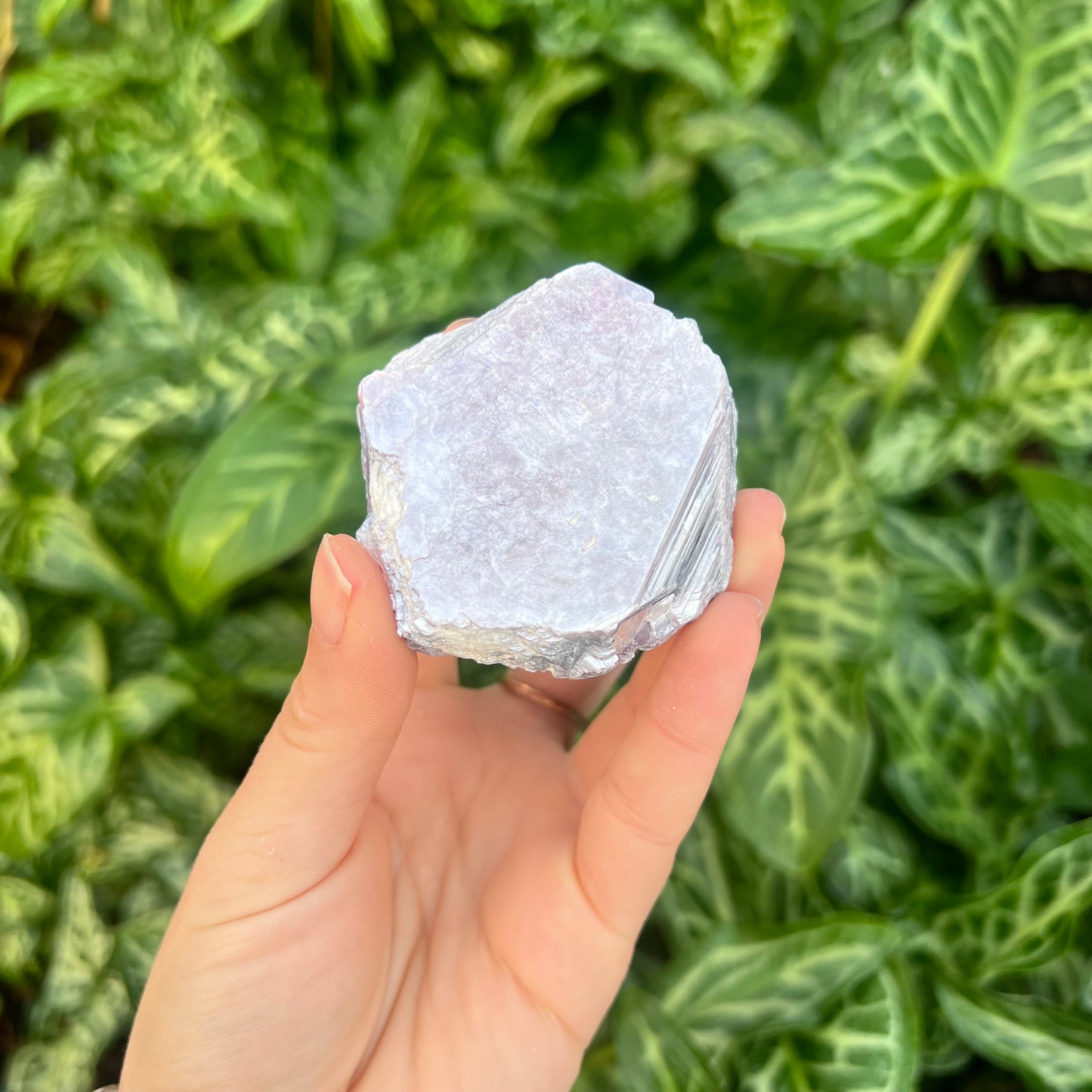 Natural Lepidolite Slice