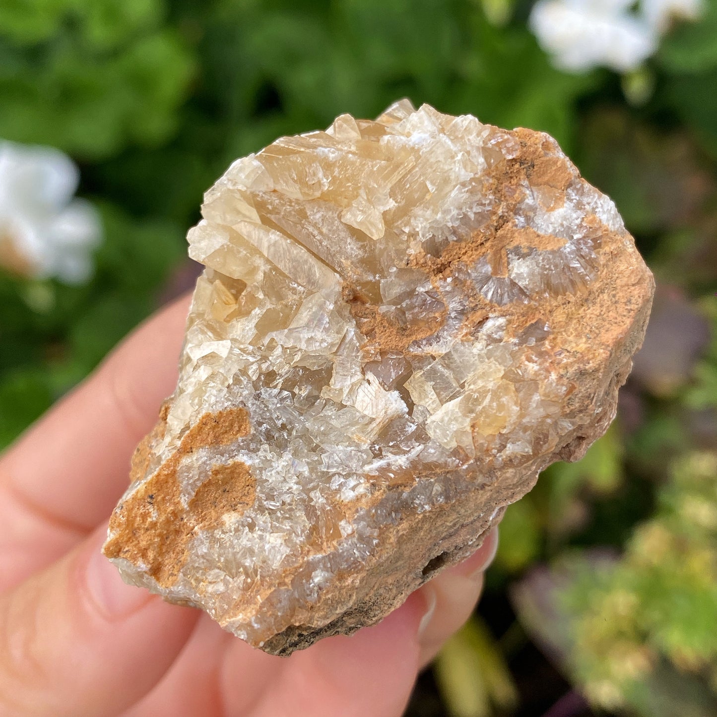 Portuguese Raw Honey Calcite #9