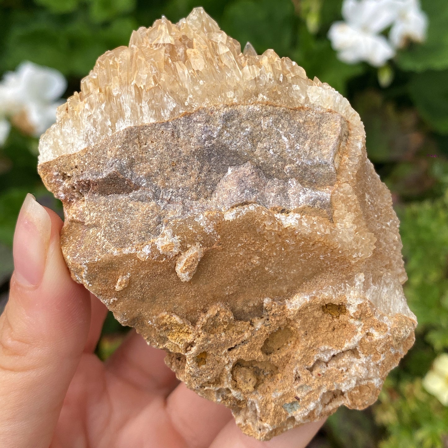 Portuguese Raw Honey Calcite #12