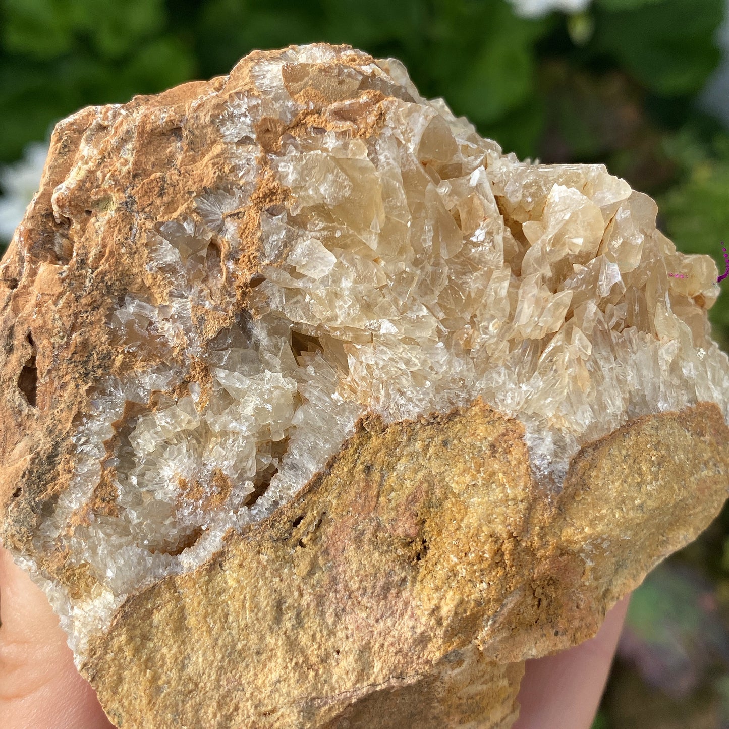 Portuguese Raw Honey Calcite #16
