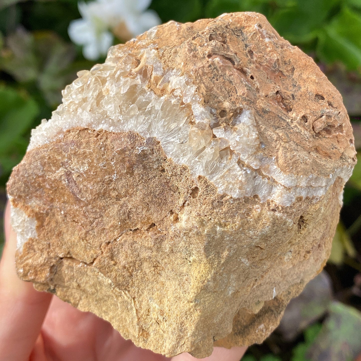 Portuguese Raw Honey Calcite #16