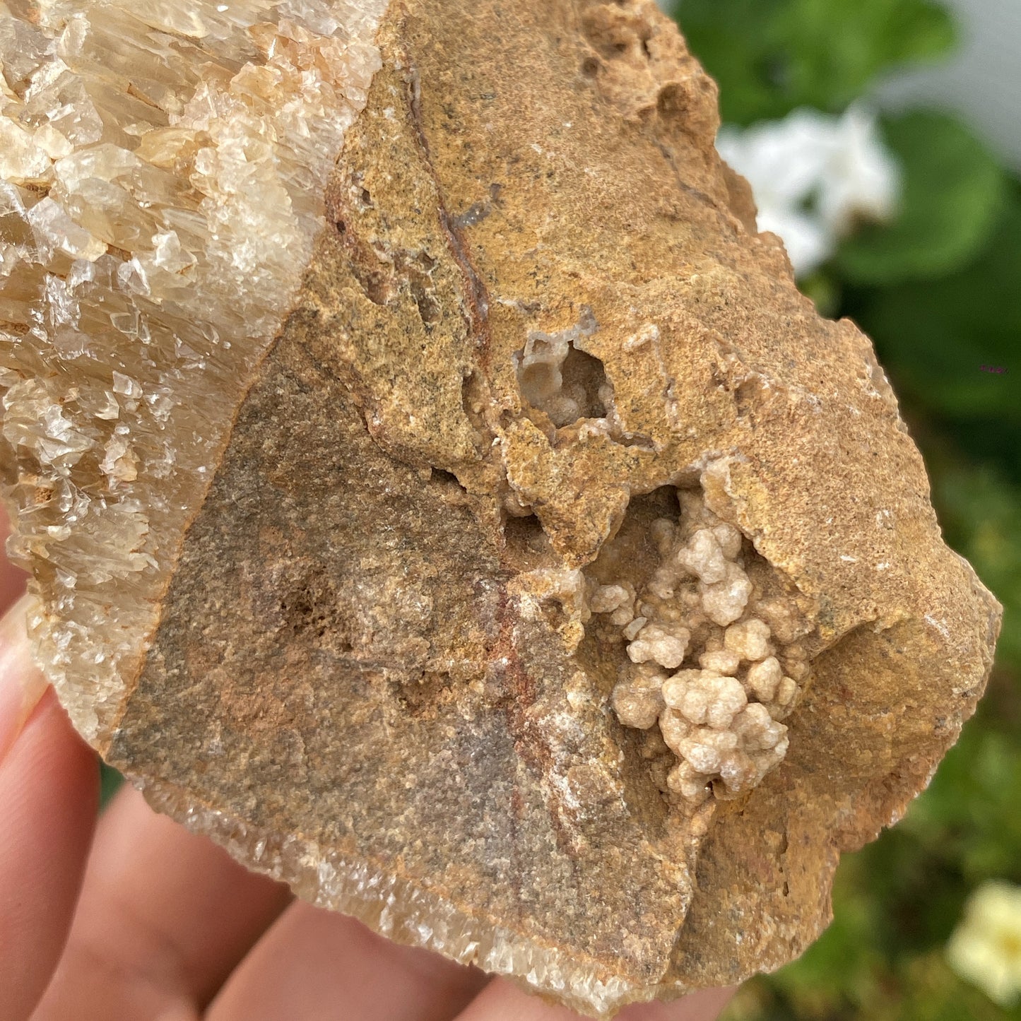 Portuguese Raw Honey Calcite #12