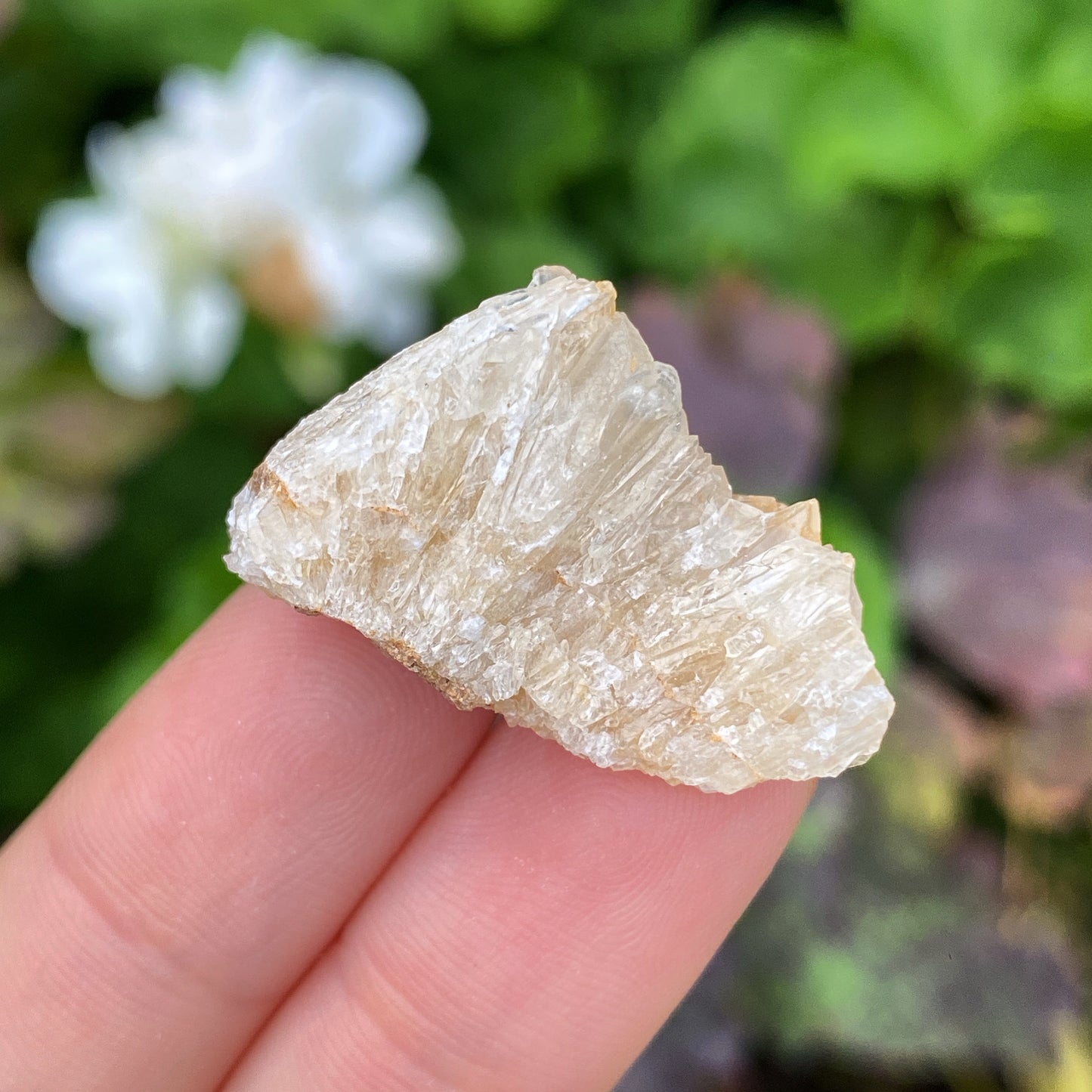 Mini Honey Calcite Rough Crystal