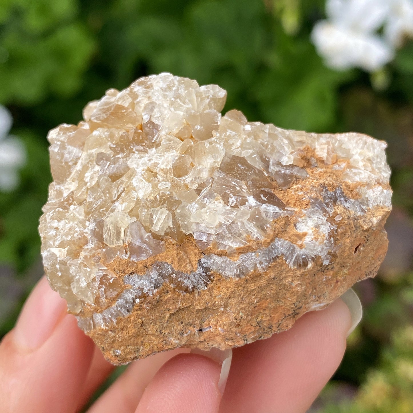 Portuguese Raw Honey Calcite #9