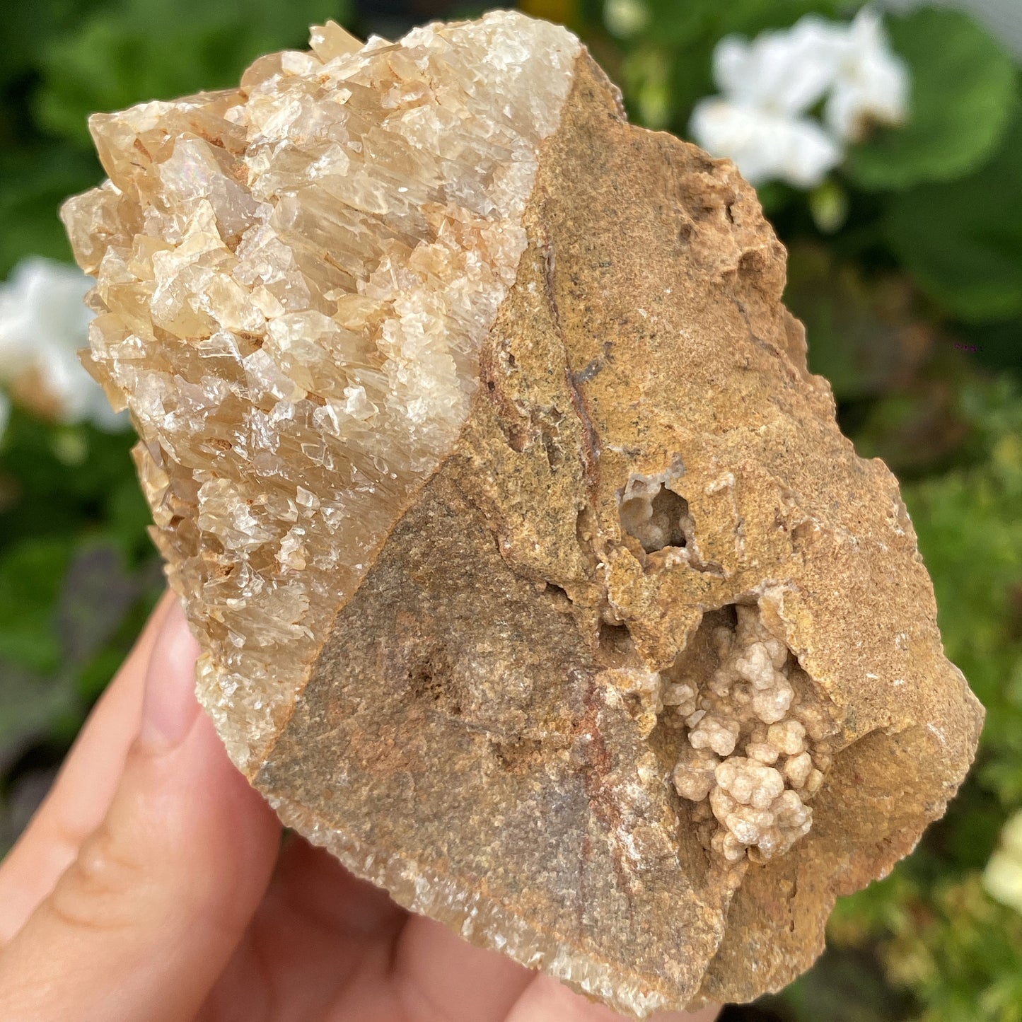 Portuguese Raw Honey Calcite #12