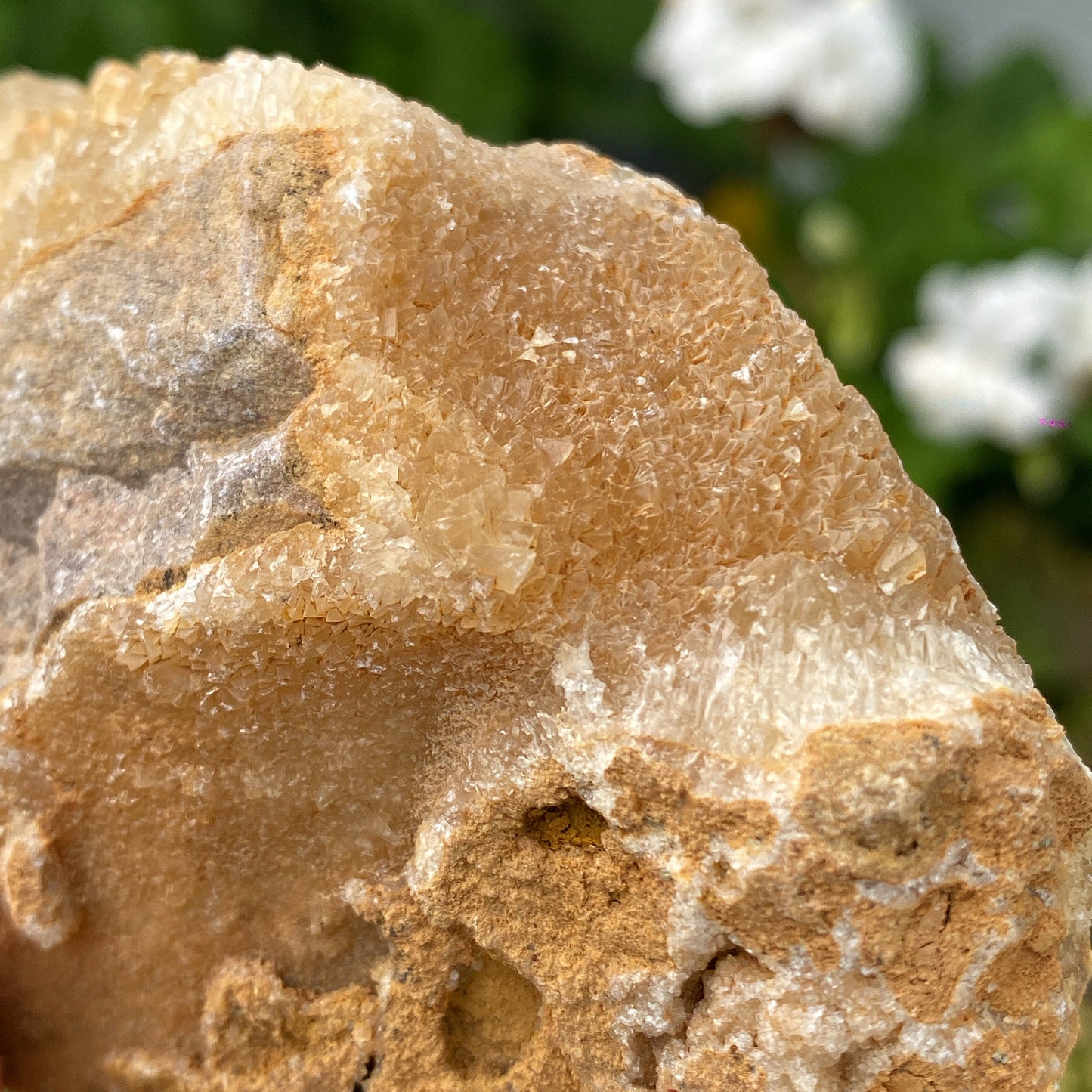 Portuguese Raw Honey Calcite #12