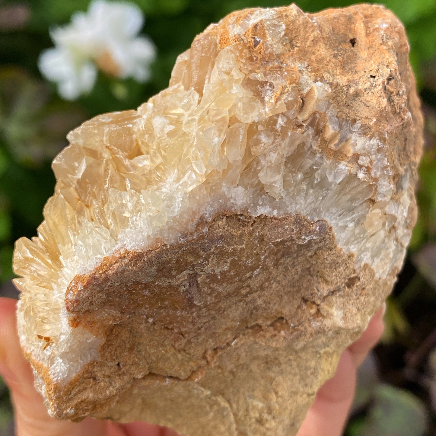Portuguese Raw Honey Calcite #16