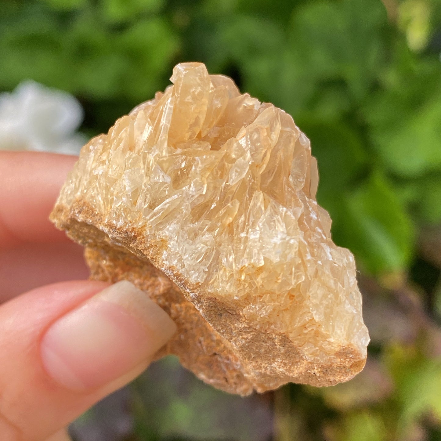 Portuguese Raw Honey Calcite #13