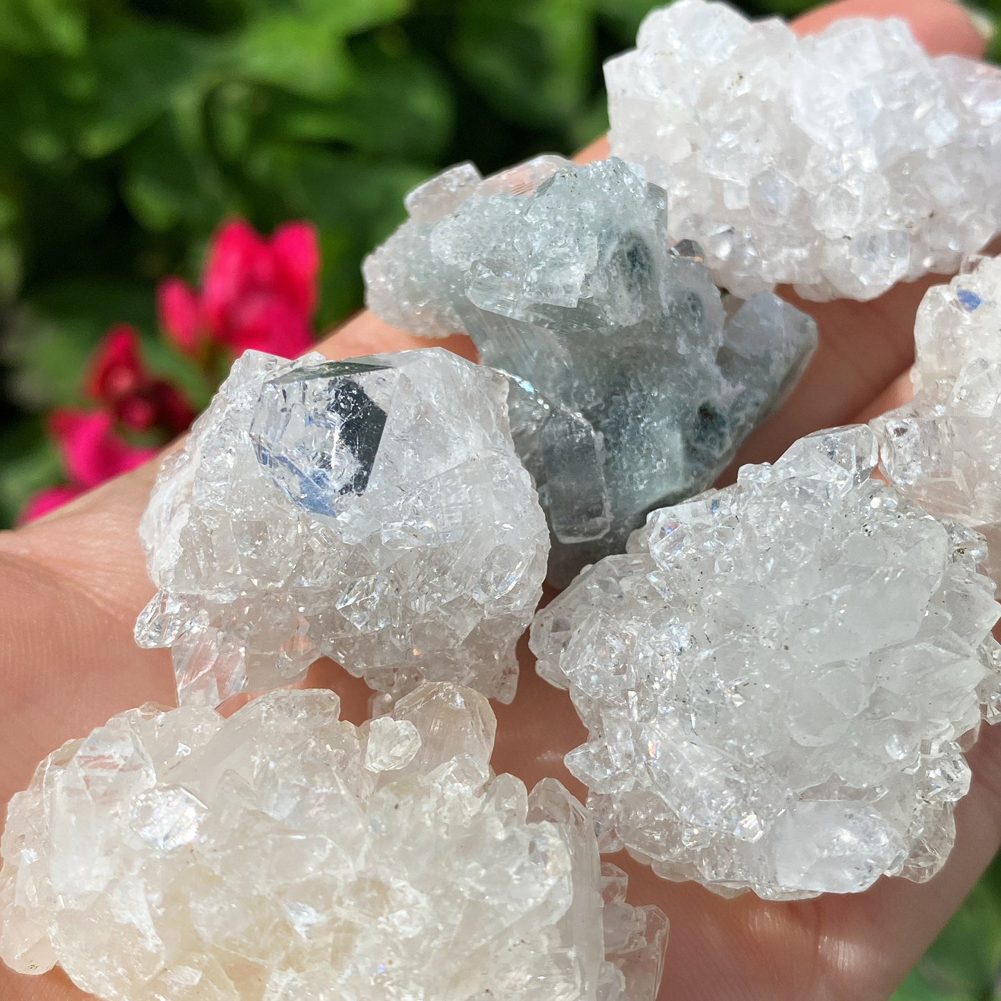 Apophyllite Crystal Clusters