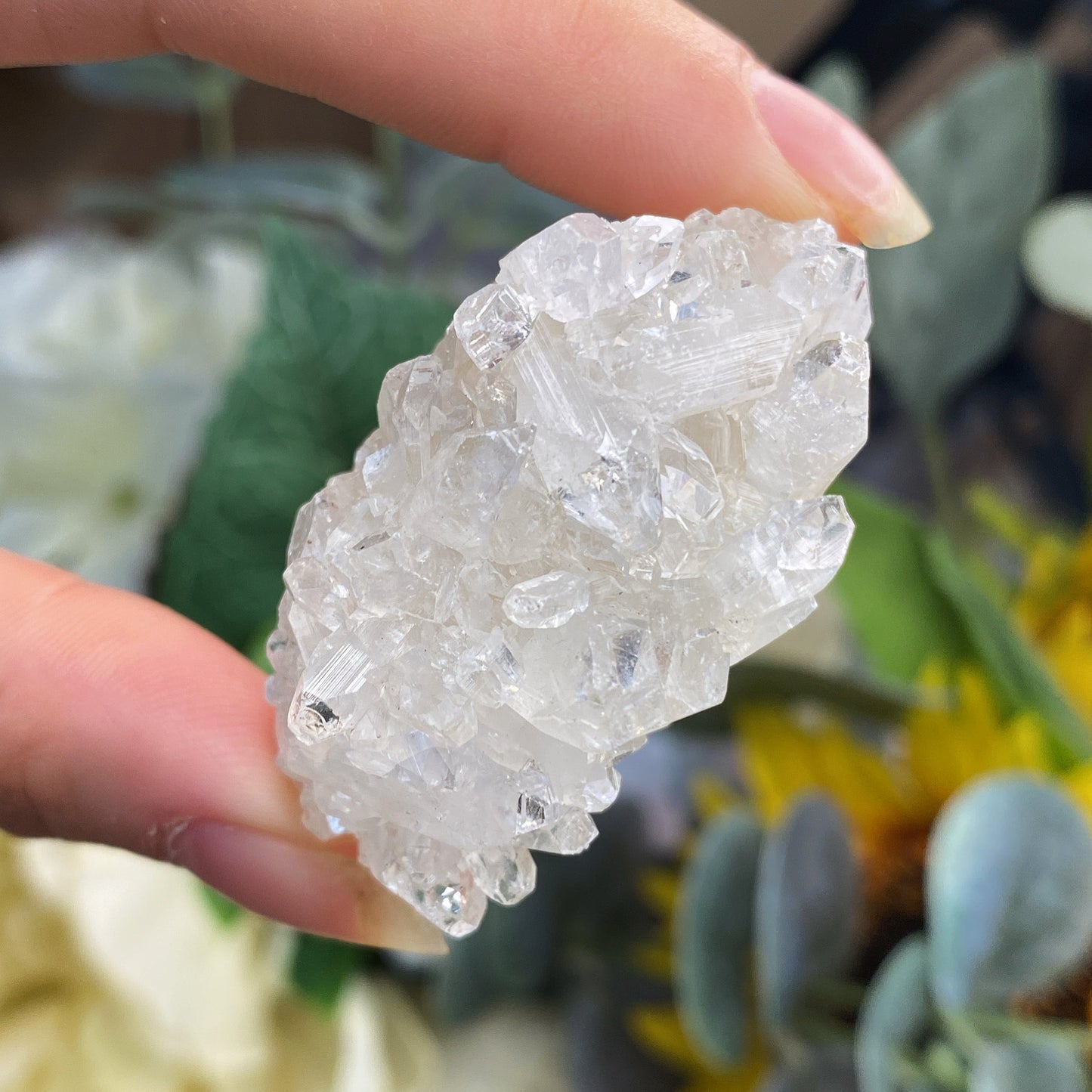 Apophyllite Crystal Clusters