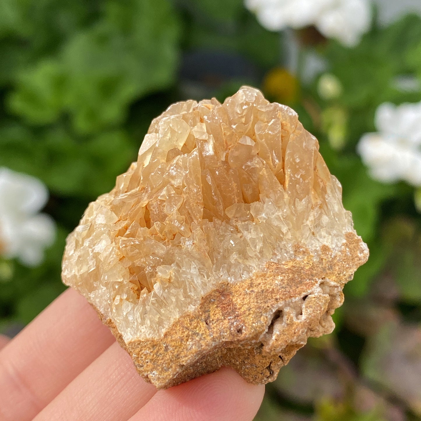 Portuguese Raw Honey Calcite #13