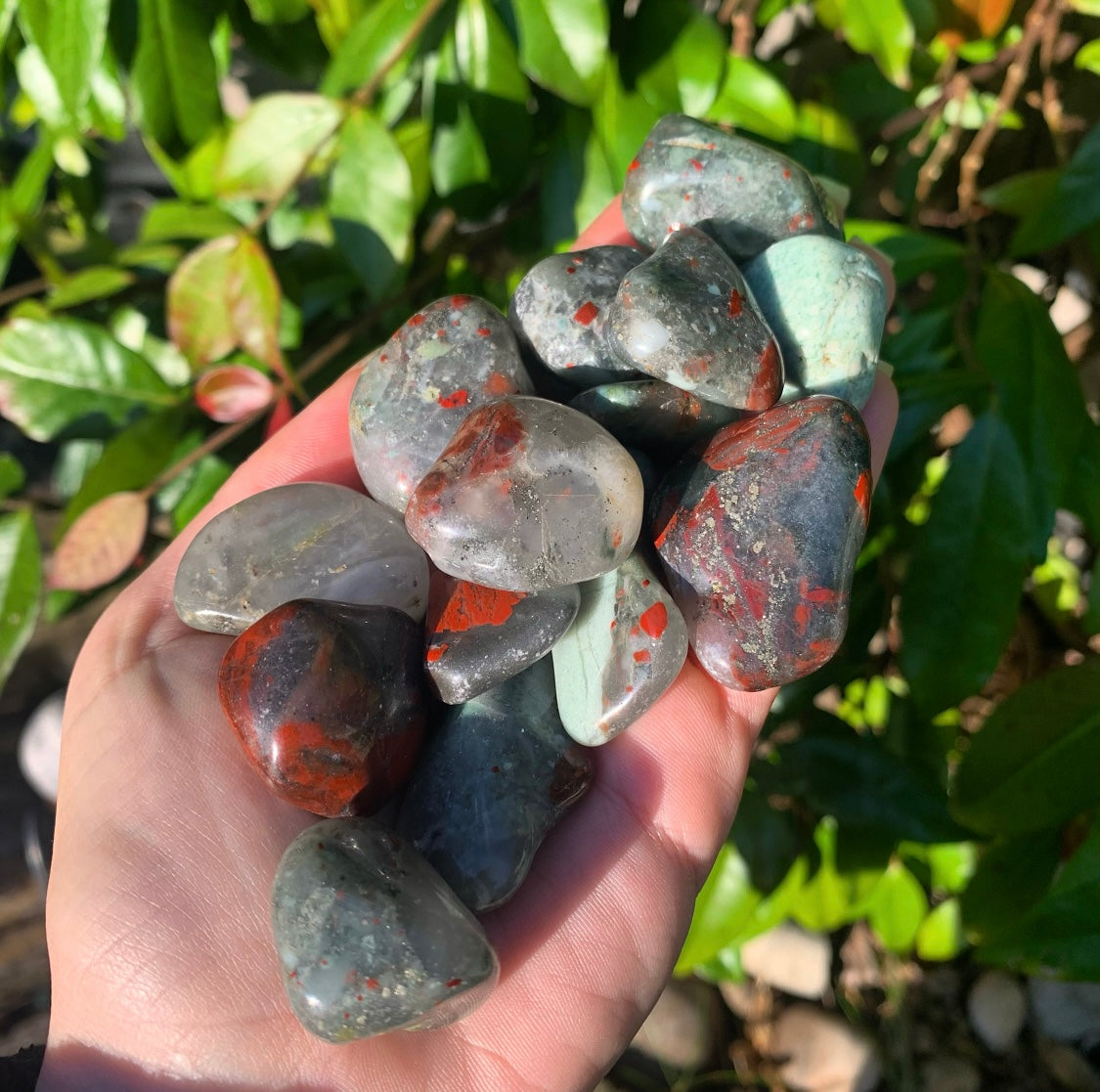 Blood Jasper Tumblestones