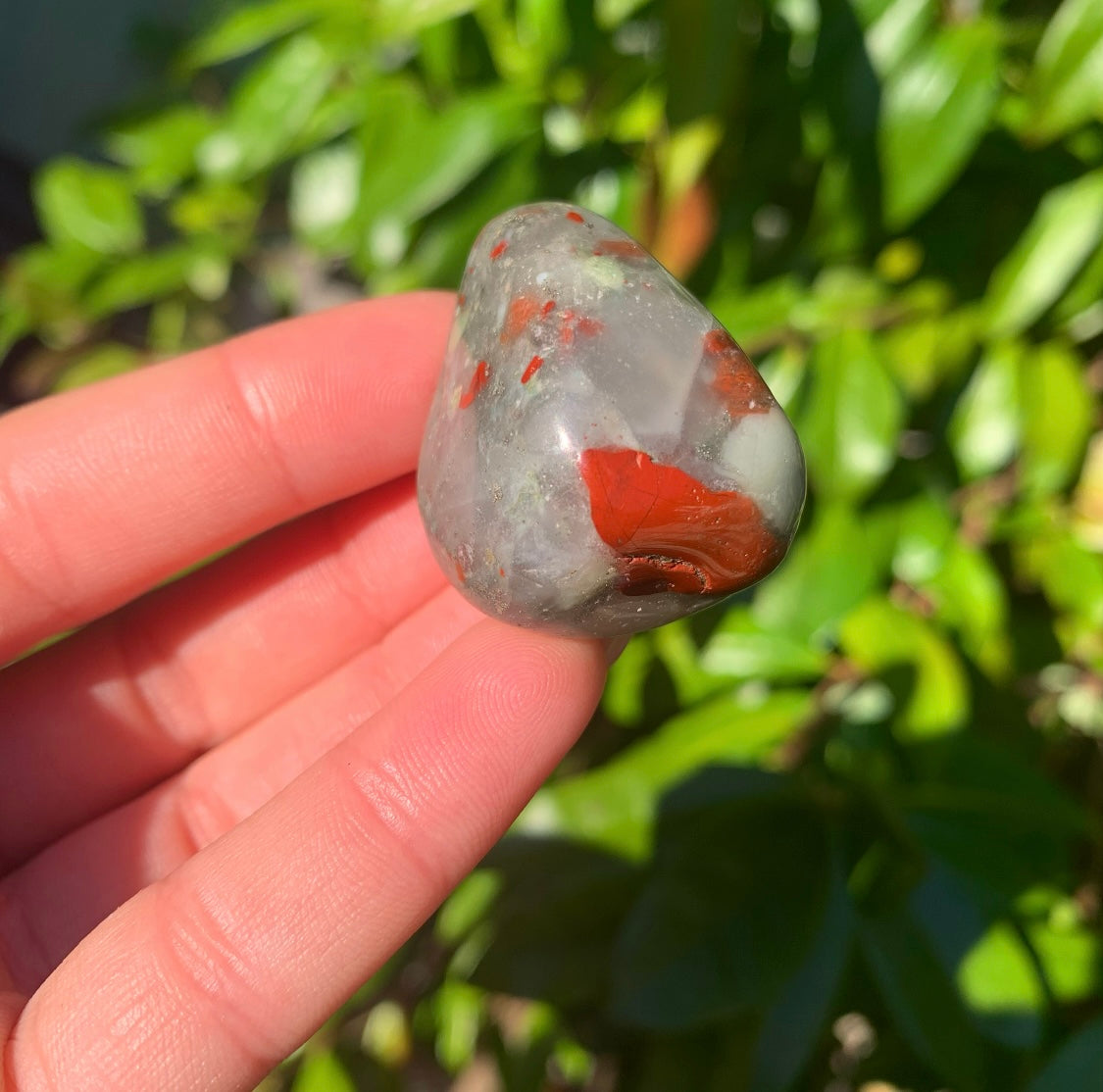 Blood Jasper Tumblestones
