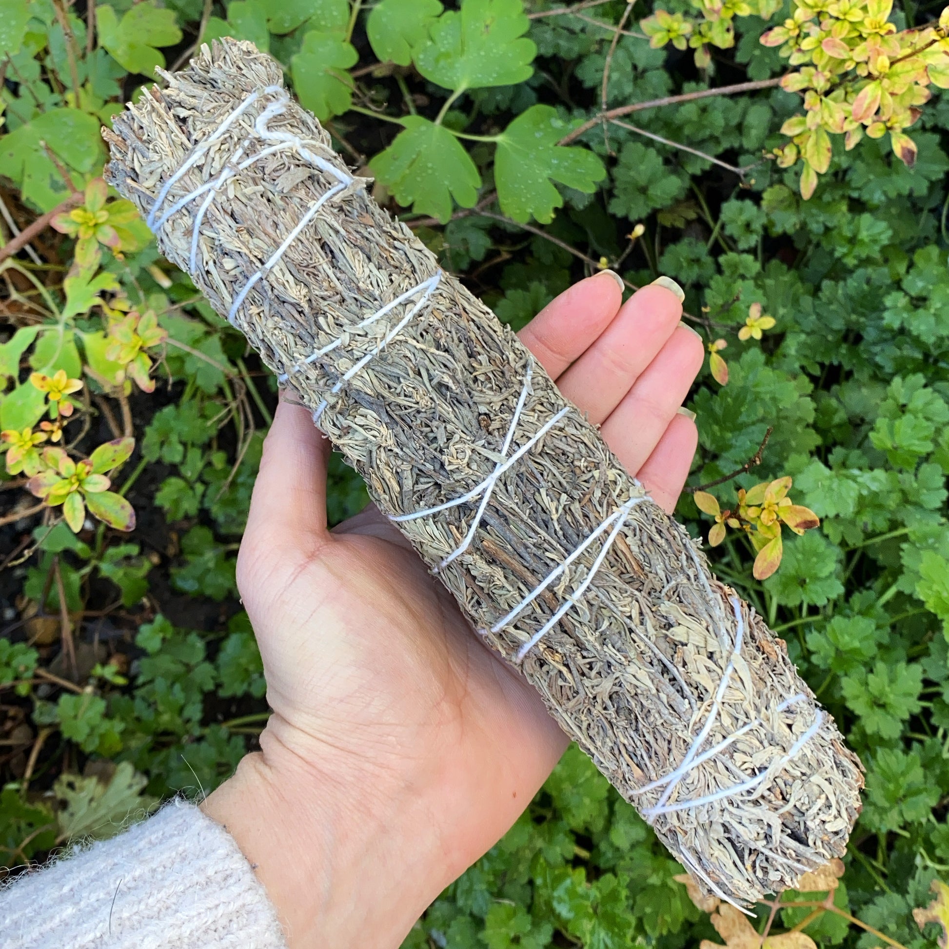 large blue sage smudge stick