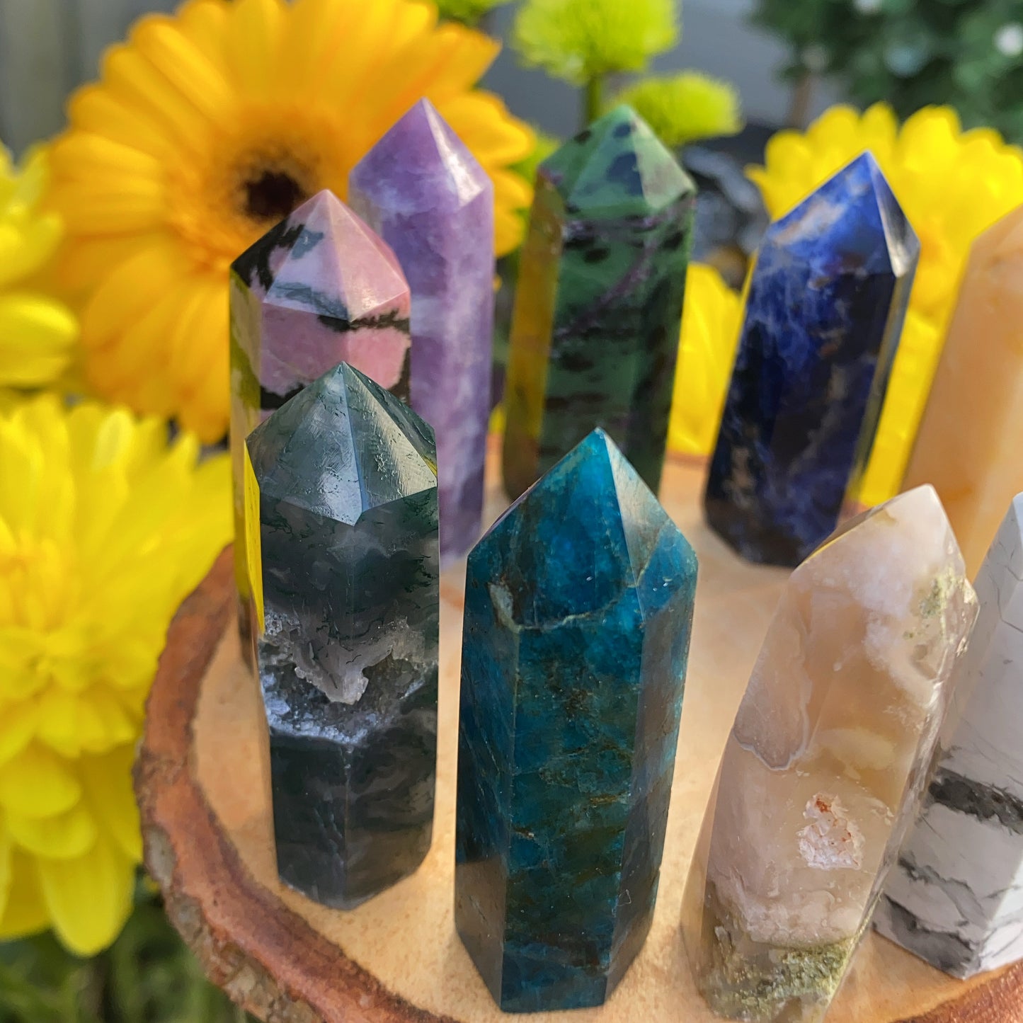 Beginners Crystal Point Box Set V2