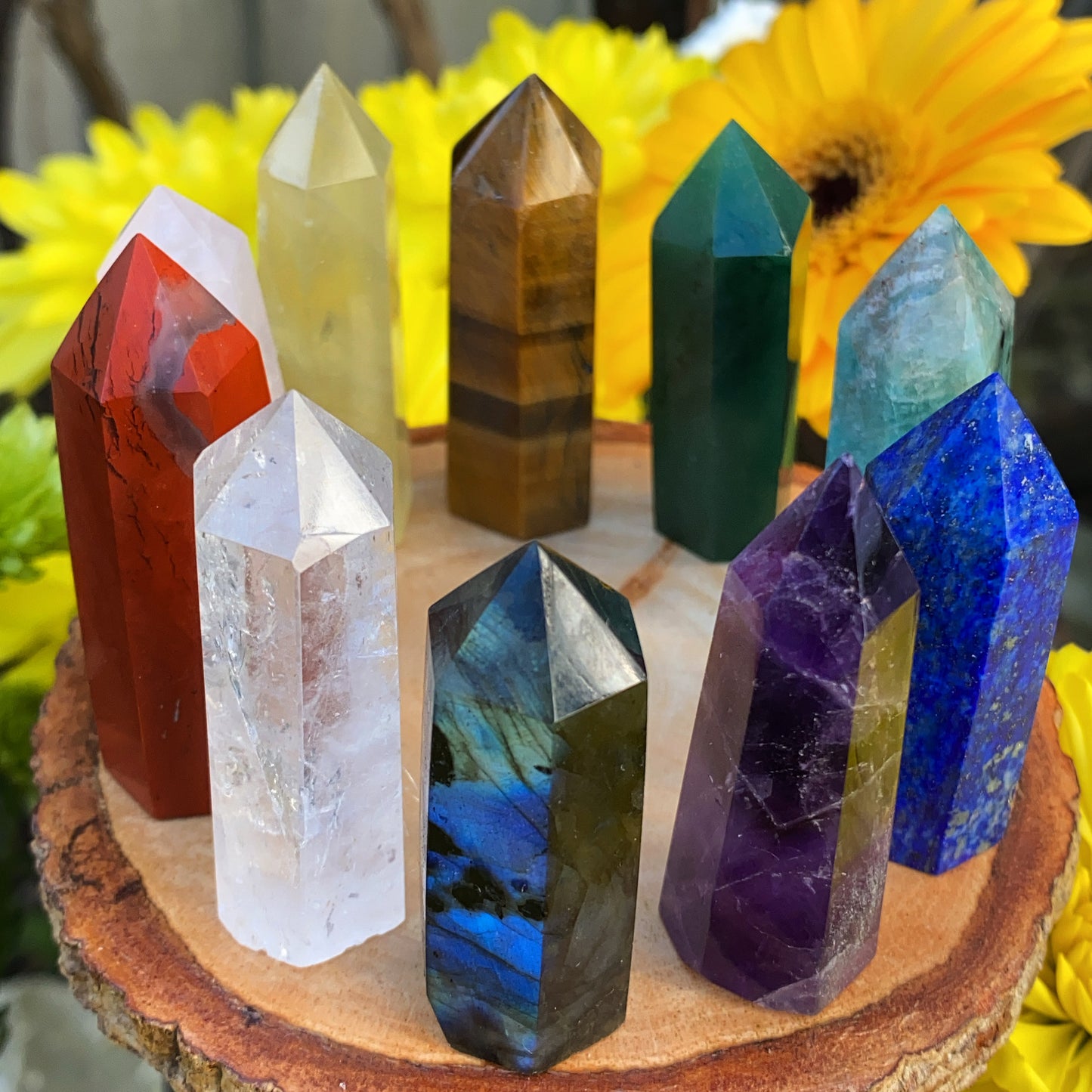 Beginners Crystal Point Box Set