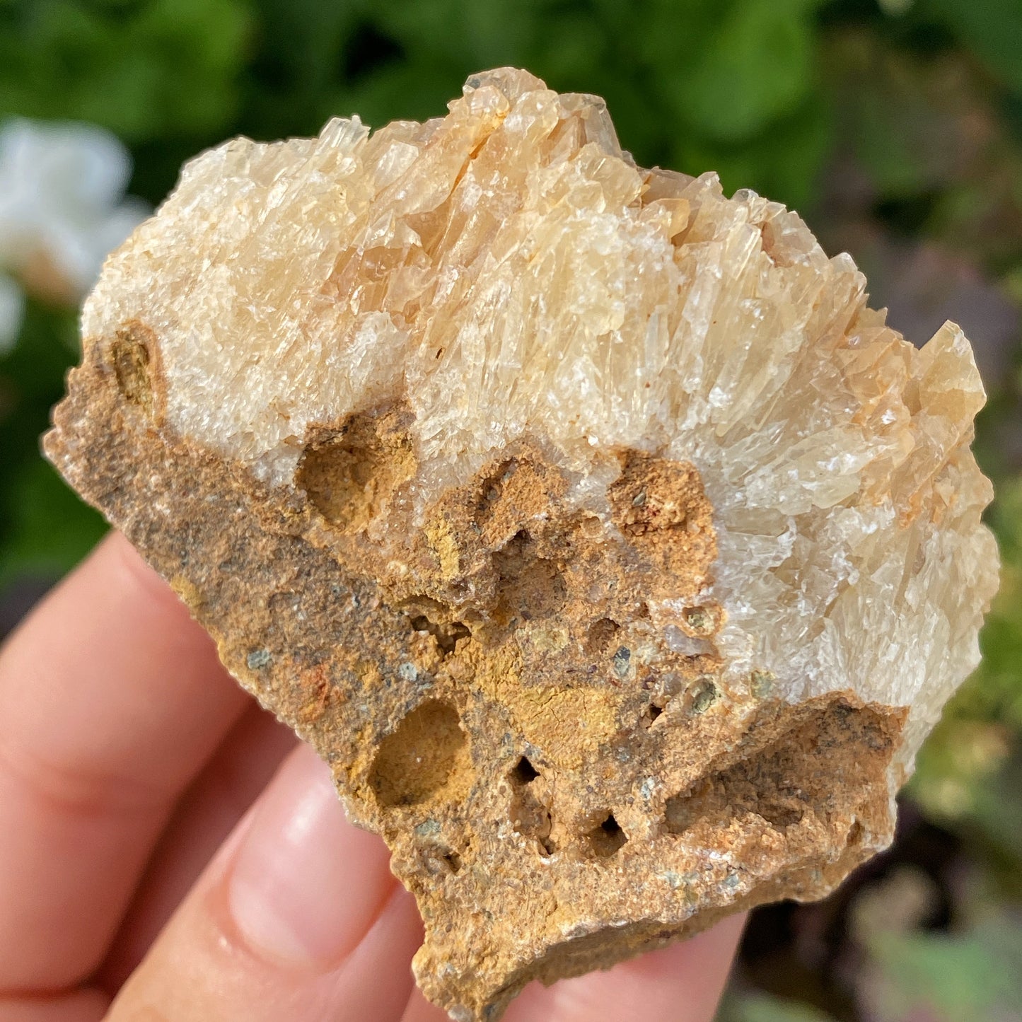 Portuguese Raw Honey Calcite #14