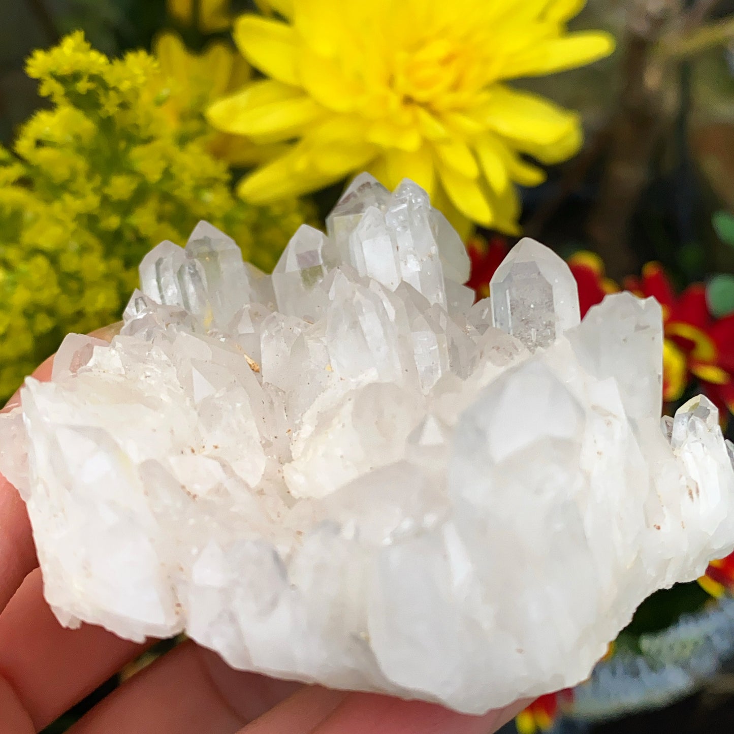 Enchanted Clear Quartz Point Cluster 1 - 130g