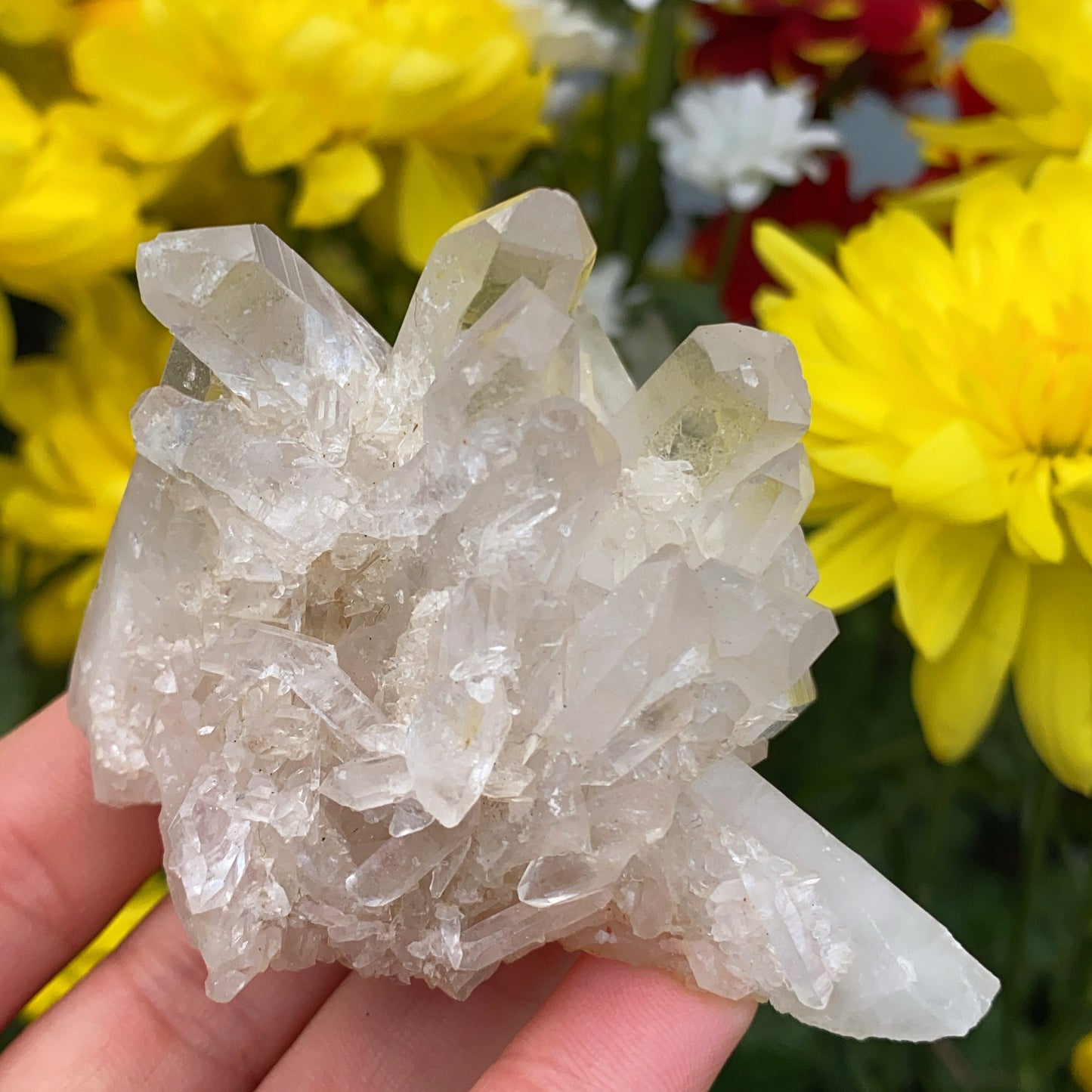 Enchanted Clear Quartz Point Cluster 4 - 108g