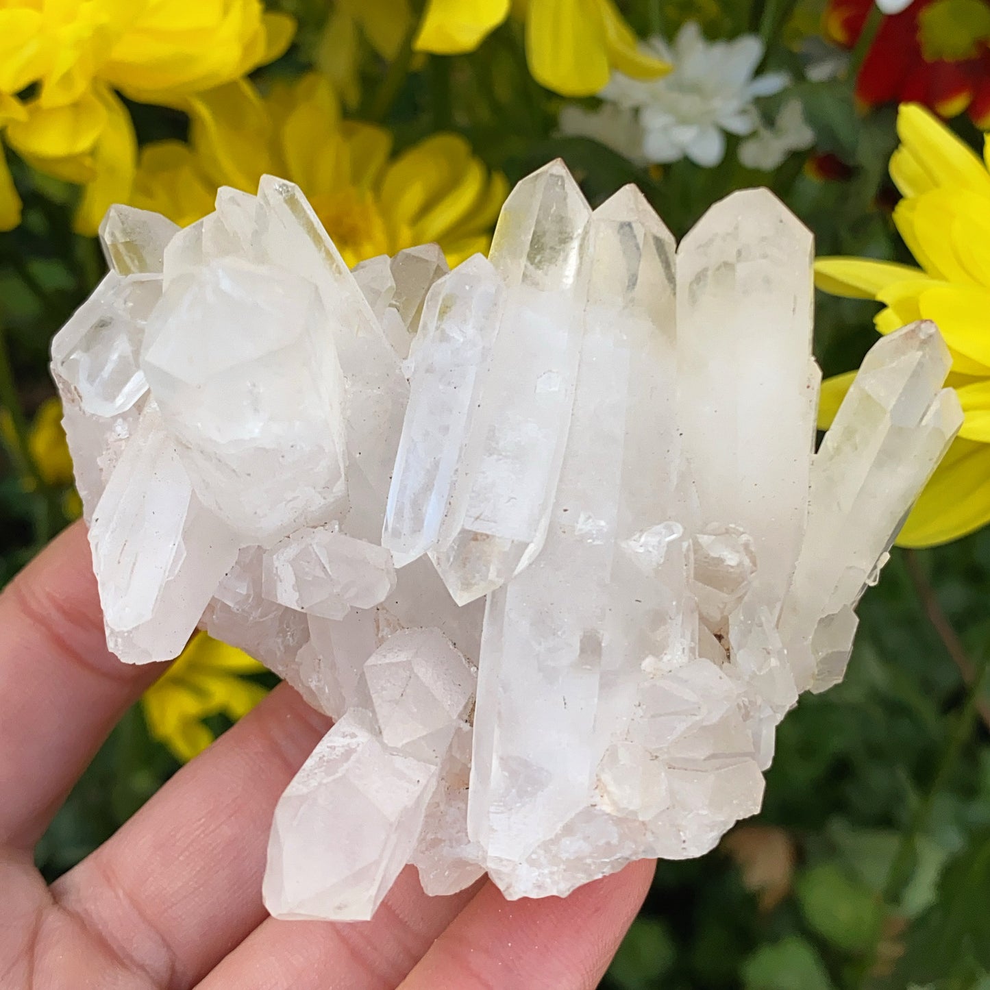 Enchanted Clear Quartz Point Cluster 5 - 146g