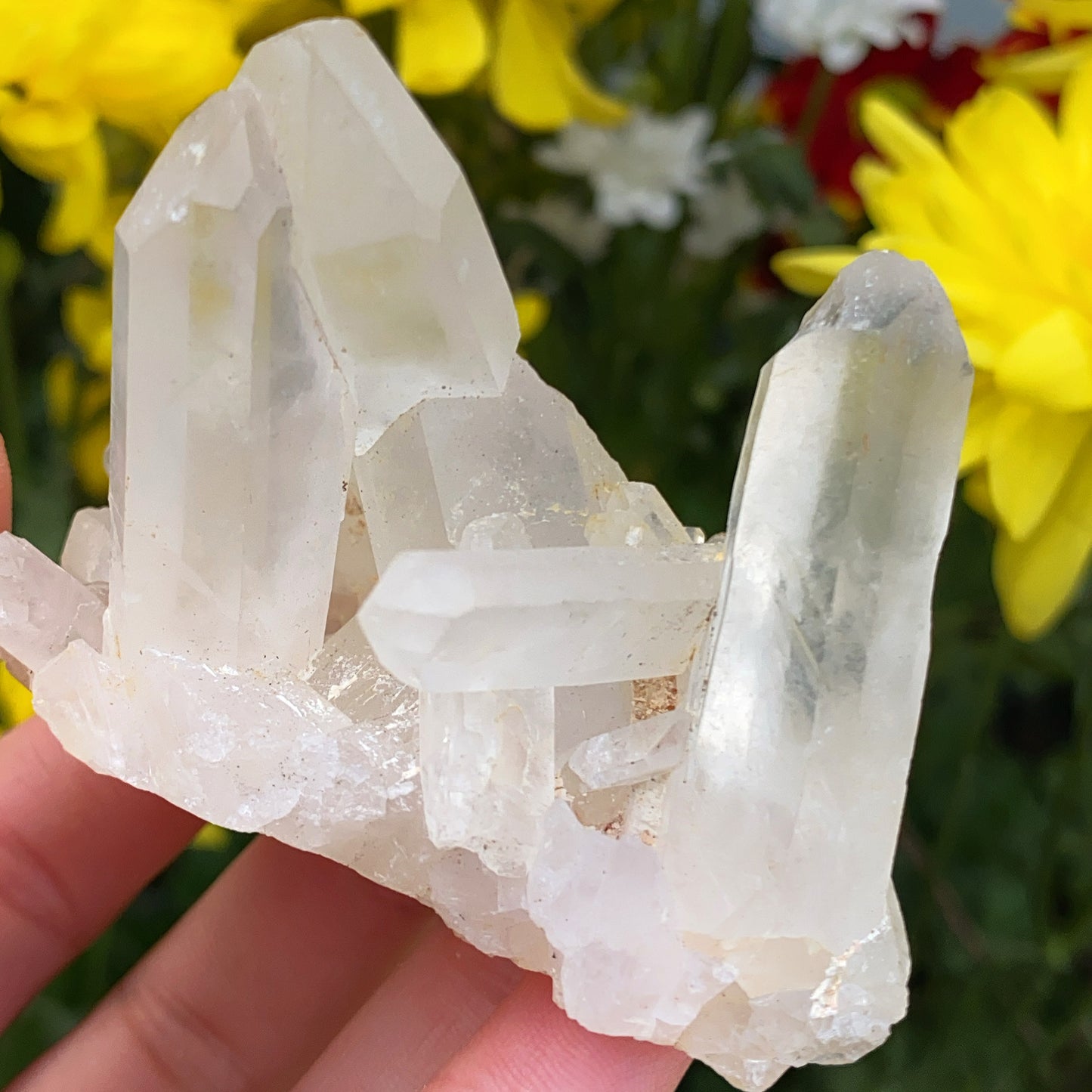 Enchanted Clear Quartz Point Cluster 2 - 102g