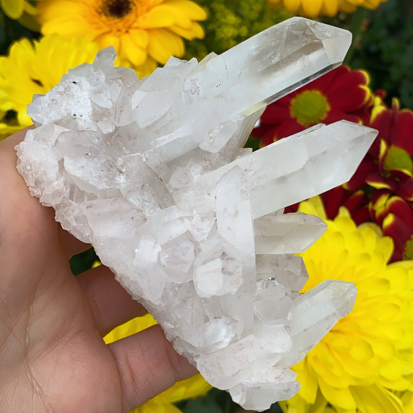 Enchanted Clear Quartz Point Cluster 3 - 133g