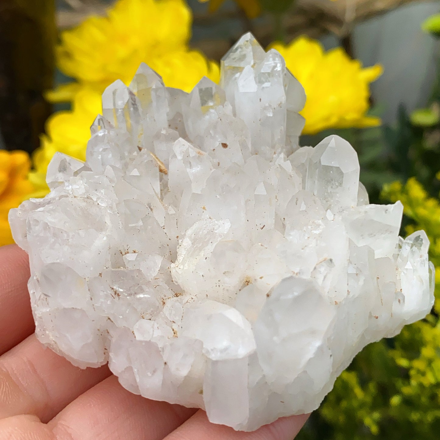 Enchanted Clear Quartz Point Cluster 1 - 130g