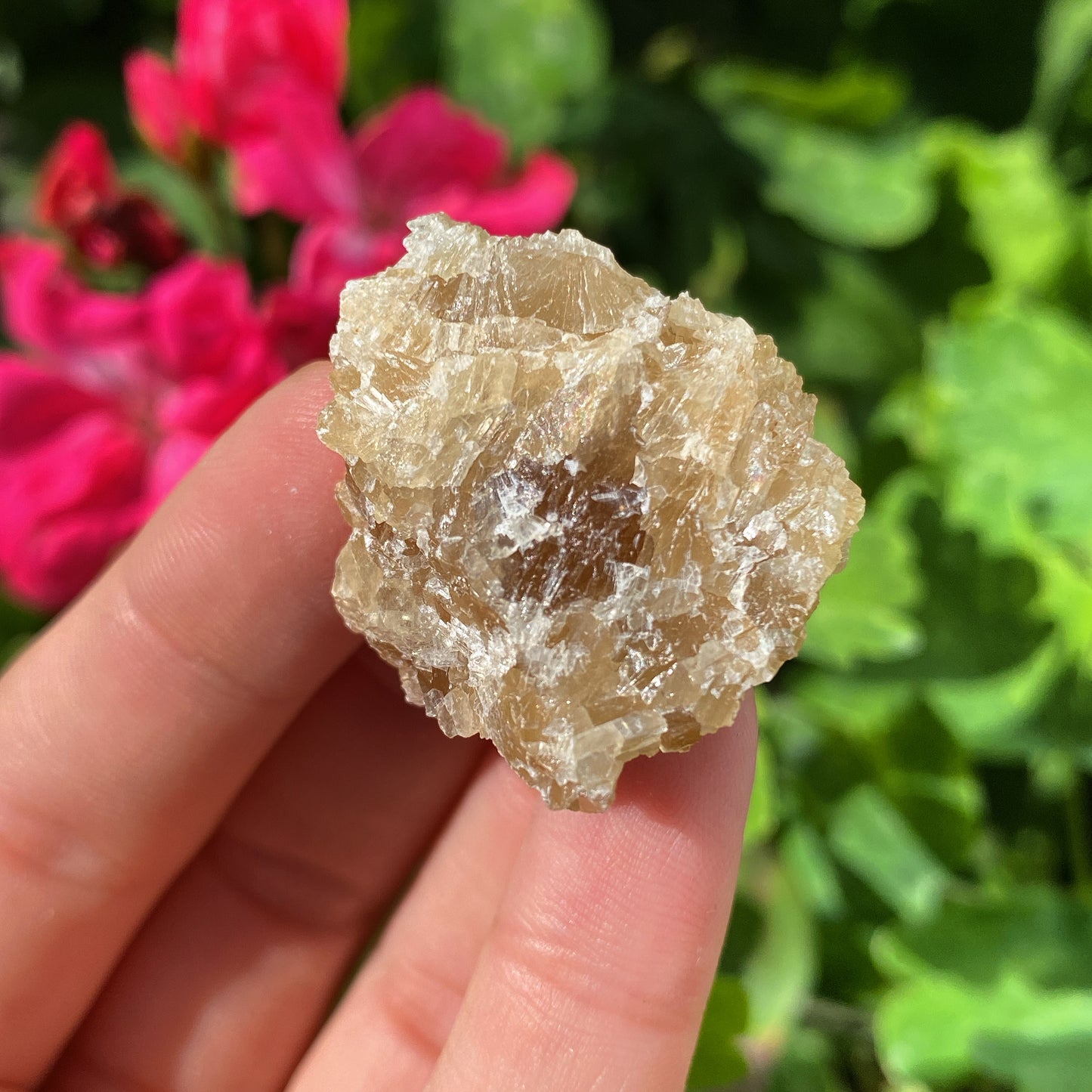 Mini Honey Calcite Rough Crystal
