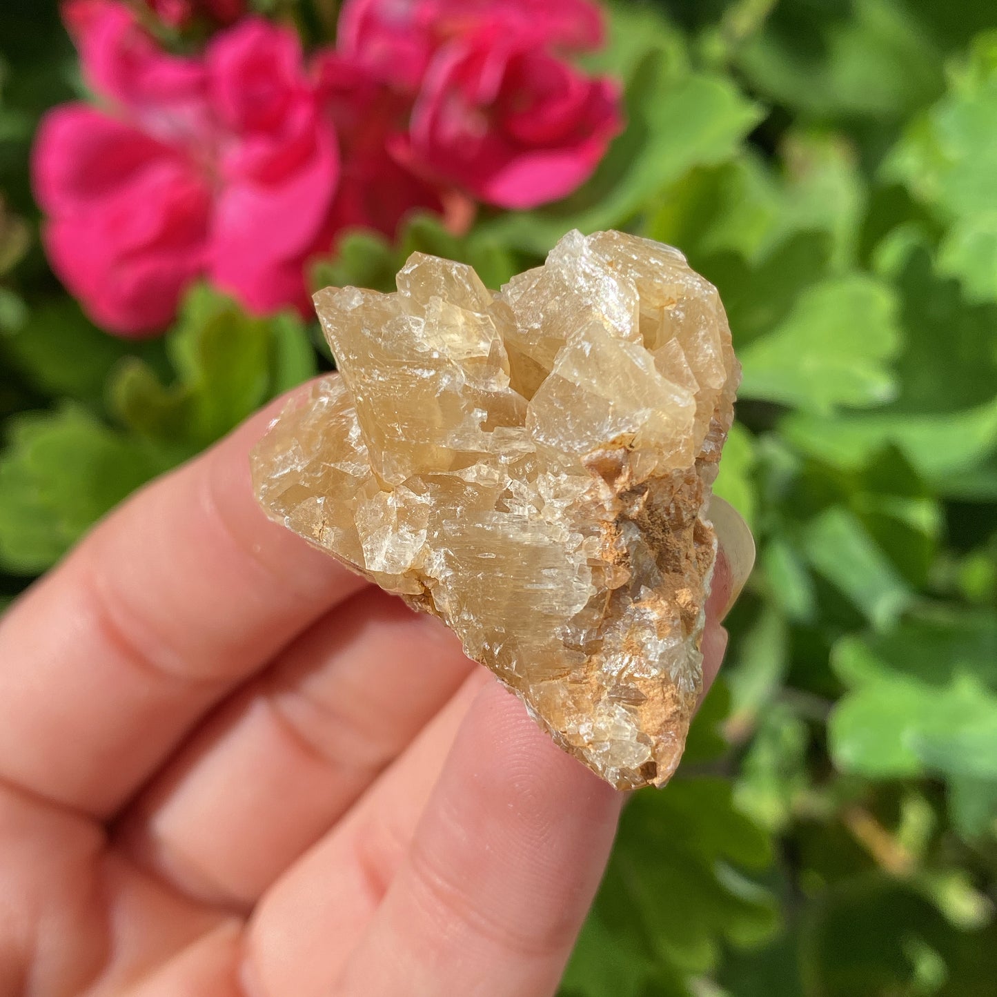 Mini Honey Calcite Rough Crystal