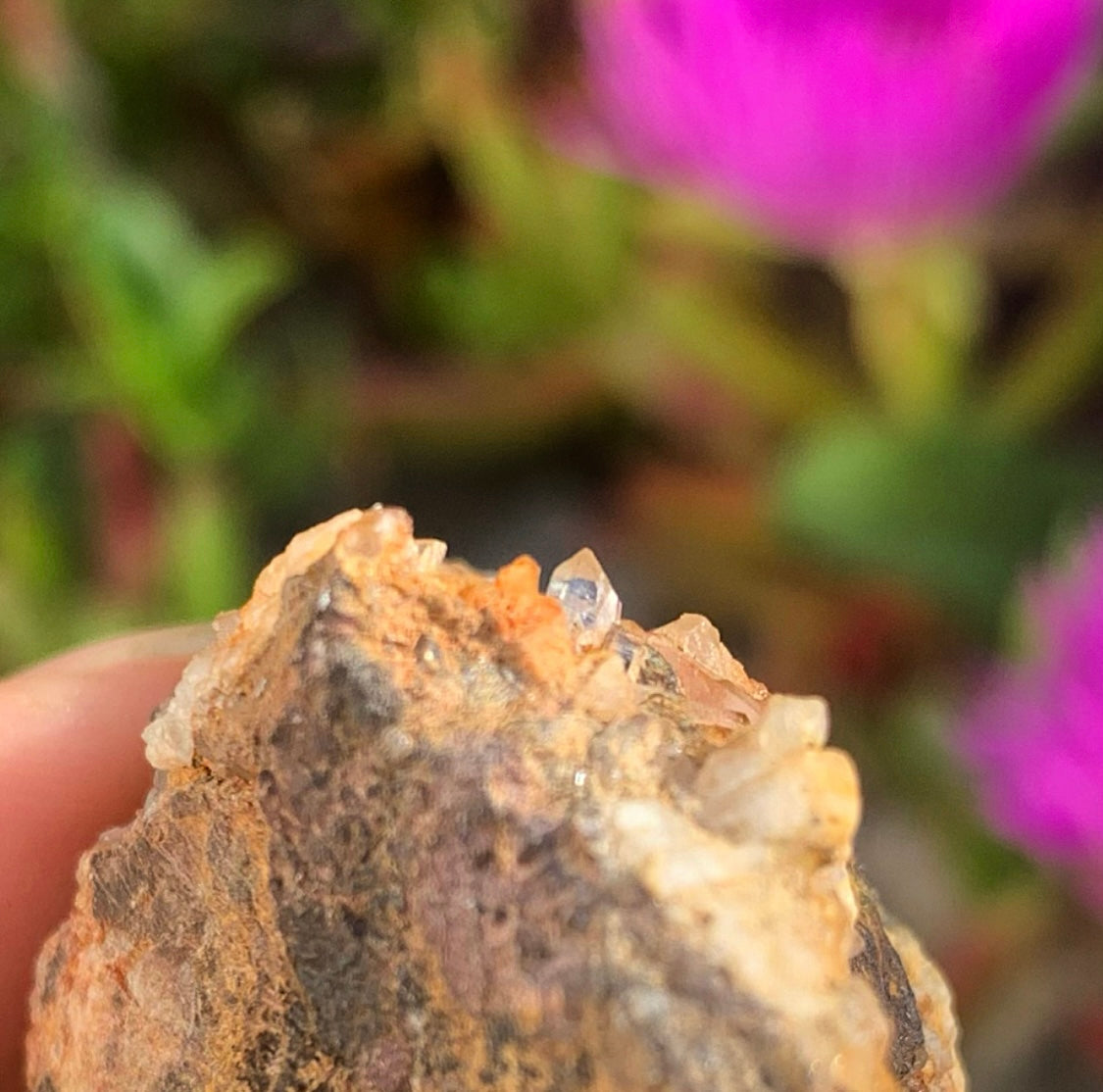 Portuguese Raw Clear Quartz