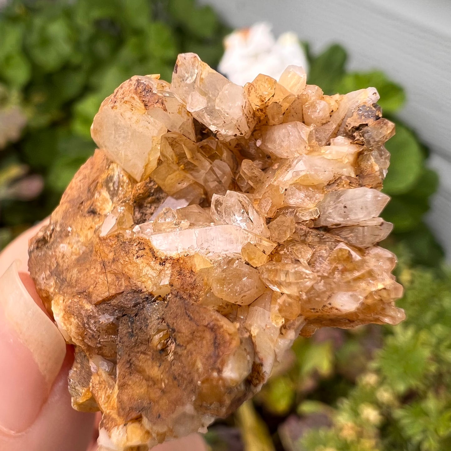 Portuguese Raw Honey Calcite #11