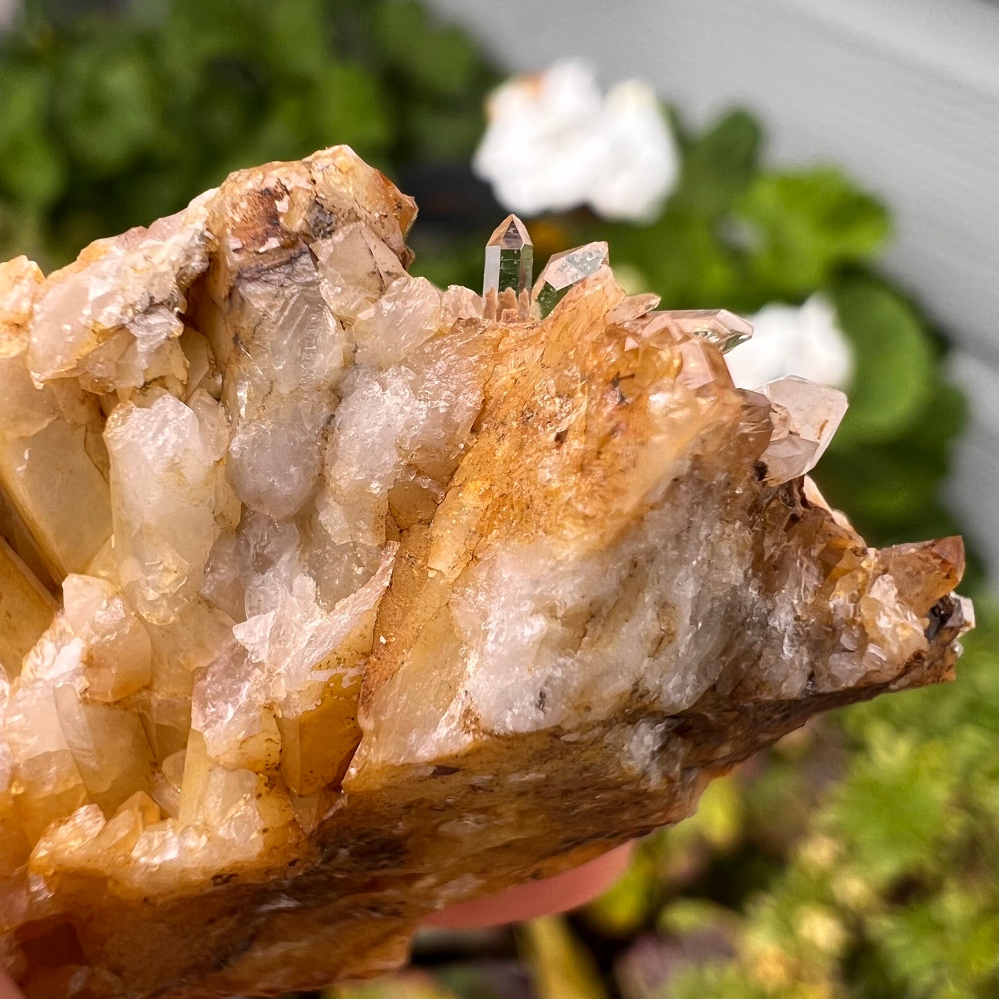 Portuguese Raw Honey Calcite #11
