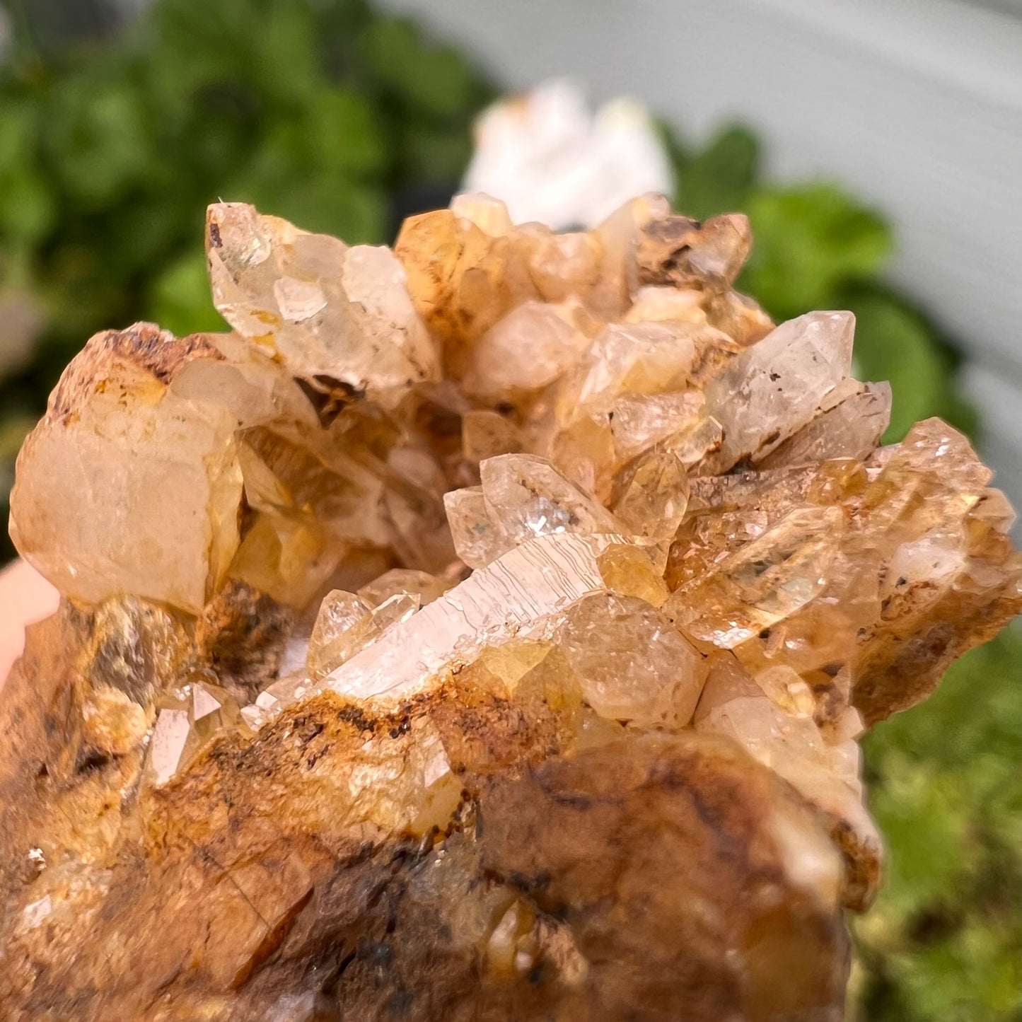 Portuguese Raw Honey Calcite #11