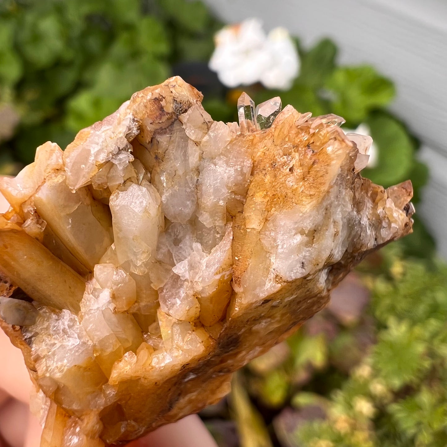 Portuguese Raw Honey Calcite #11
