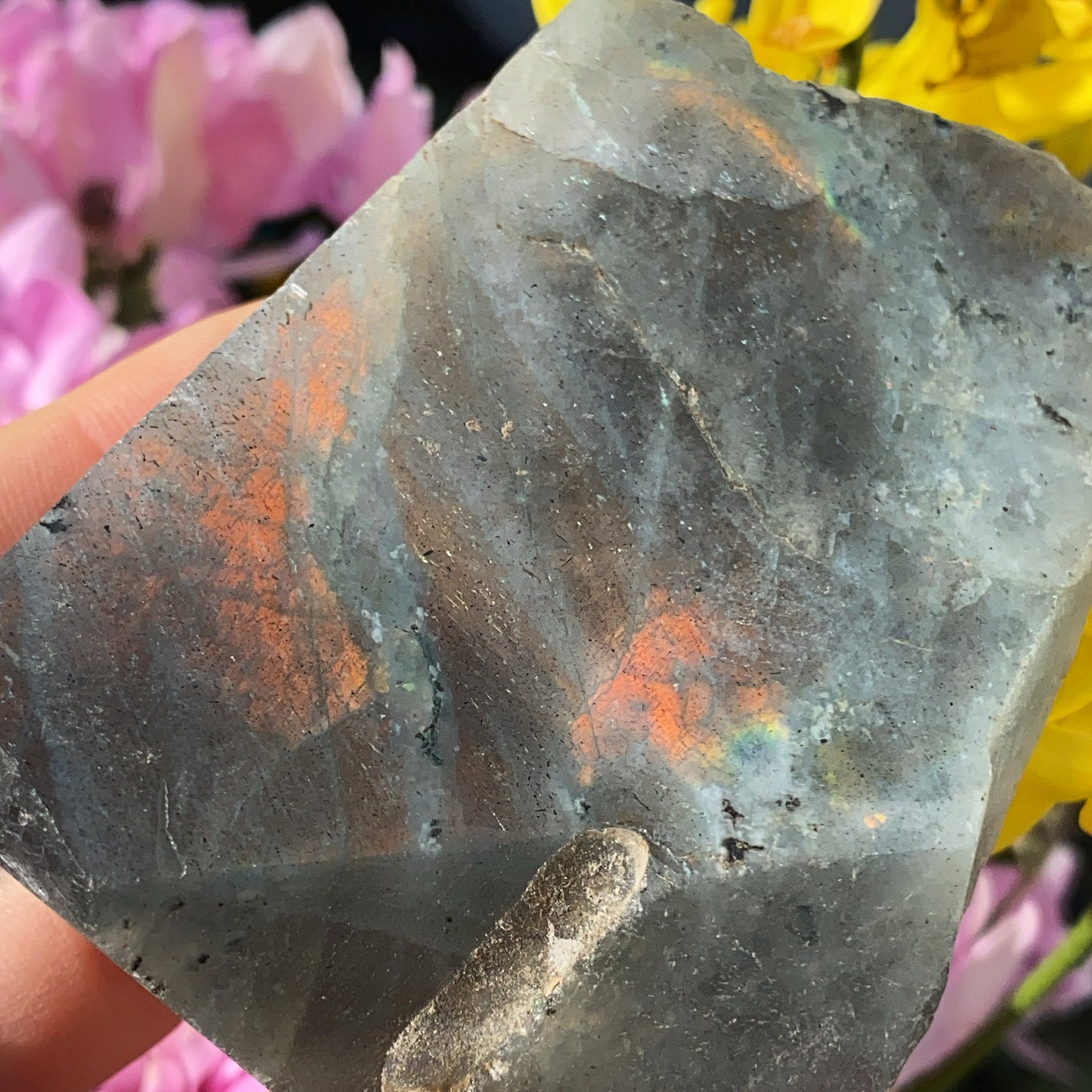 Labradorite Raw Slab - 155g