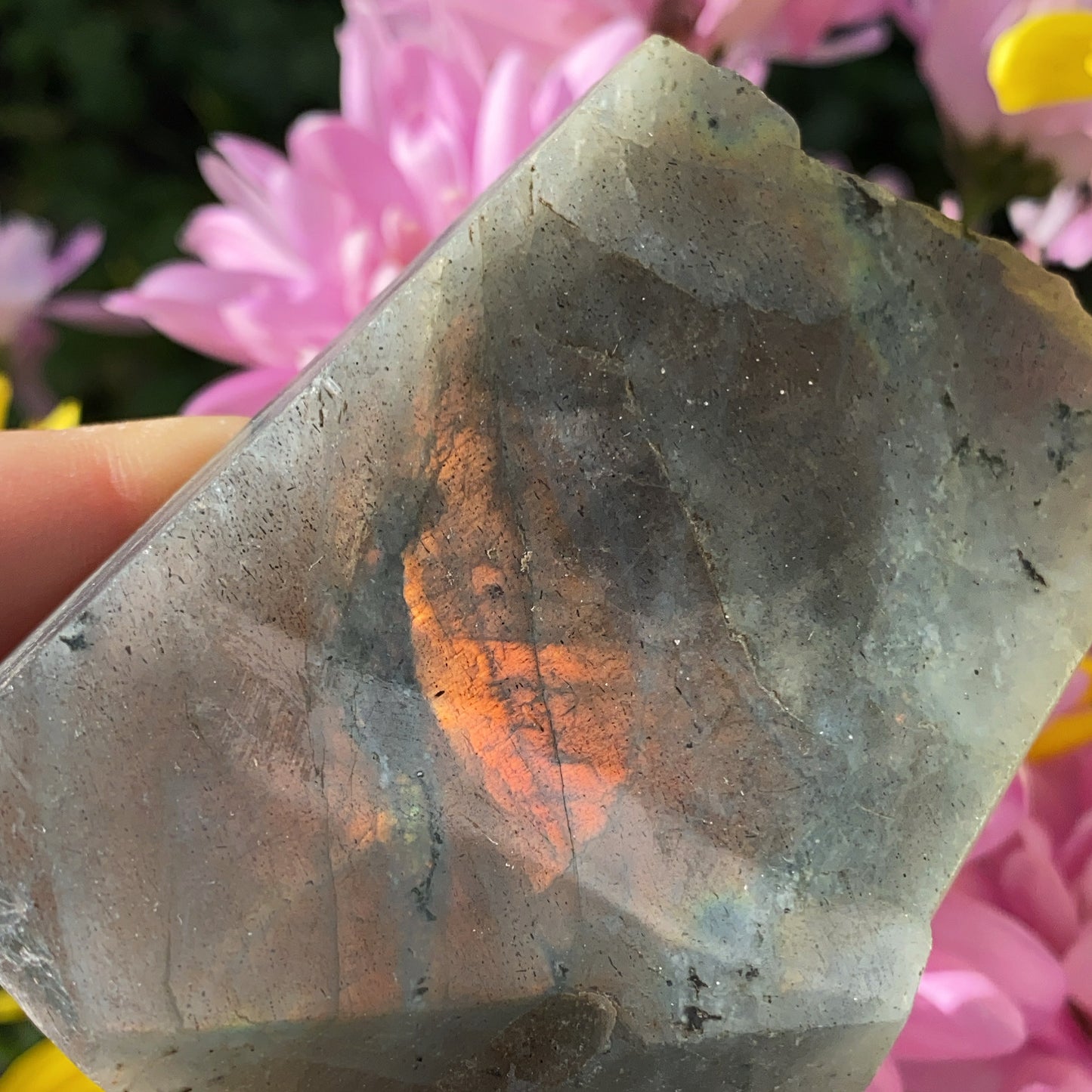 Labradorite Raw Slab - 155g