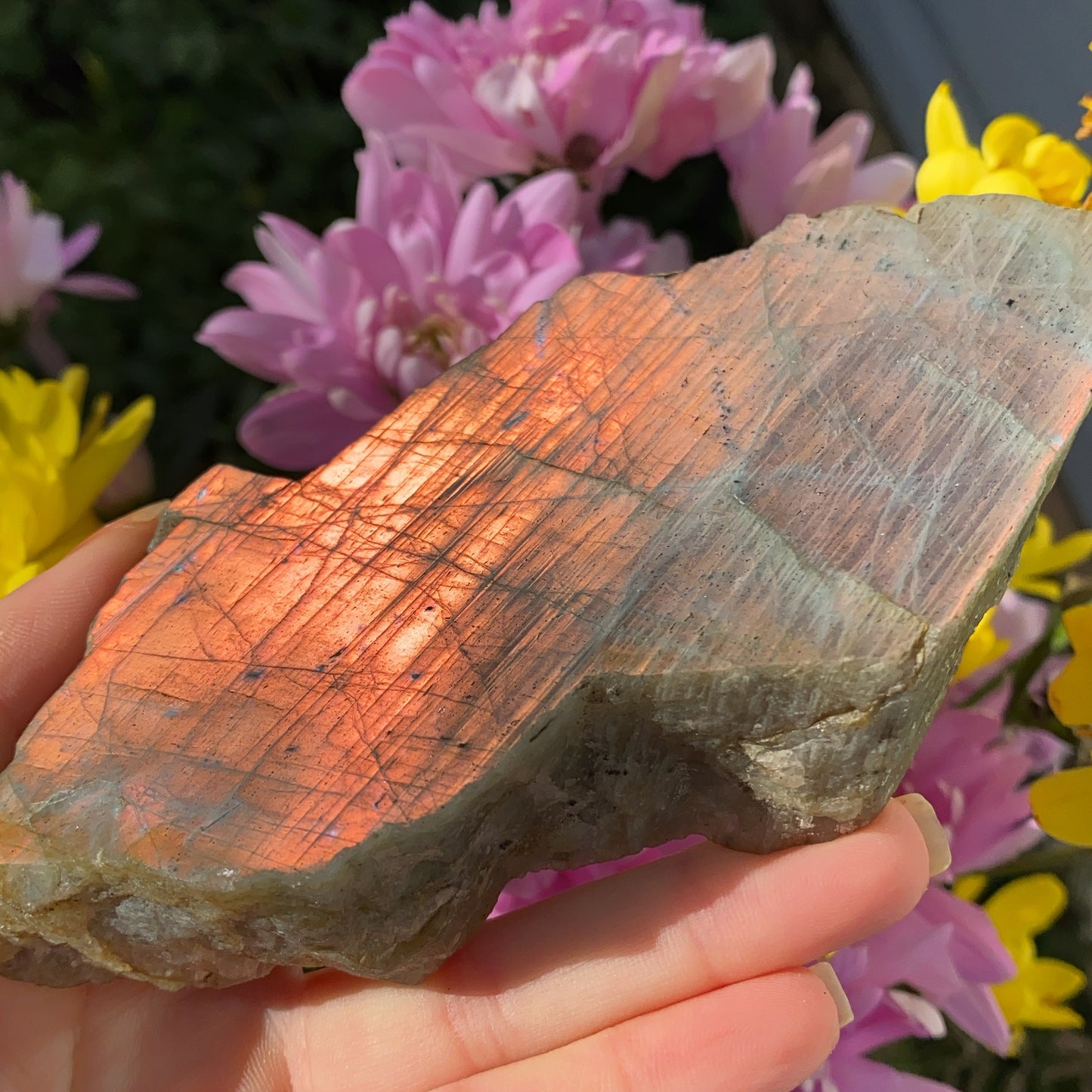 Labradorite Raw Slab - 220g