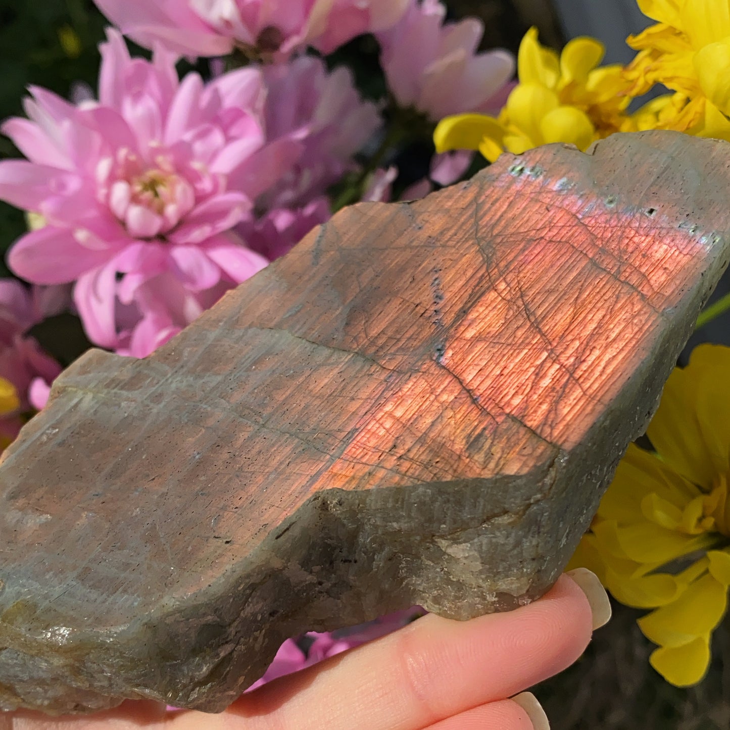 Labradorite Raw Slab - 220g