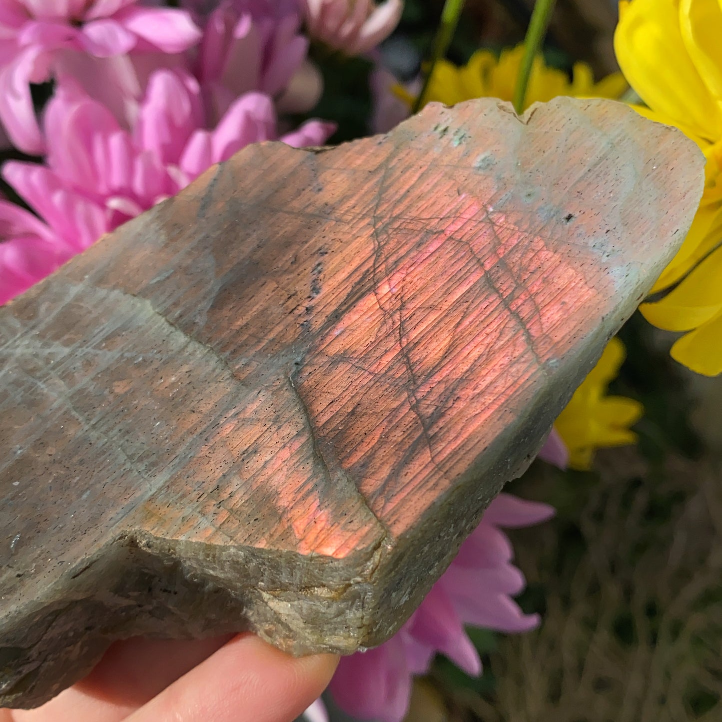 Labradorite Raw Slab - 220g