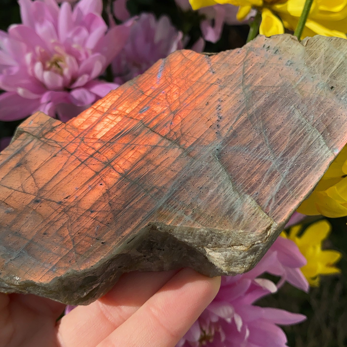 Labradorite Raw Slab - 220g