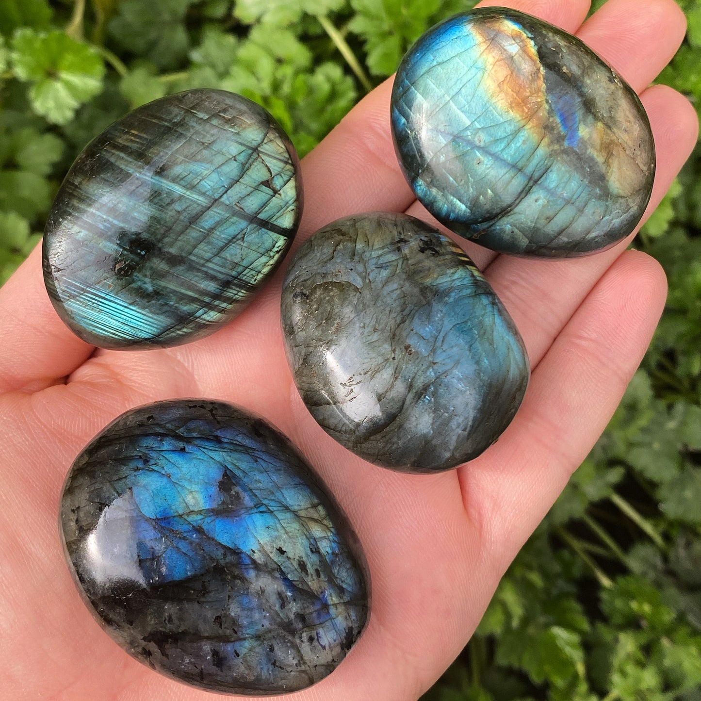 Labradorite Palm Stone