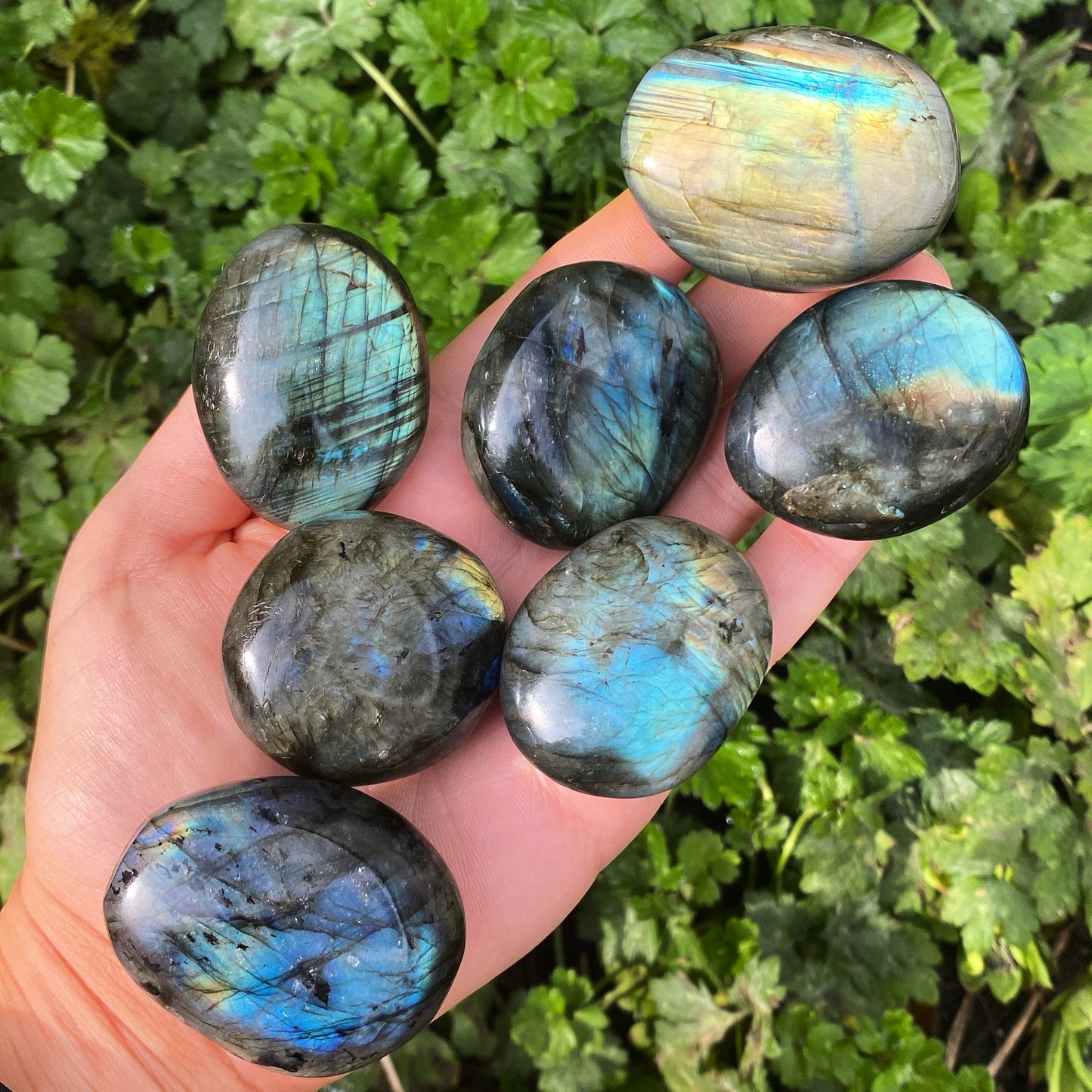 Labradorite Palm Stone