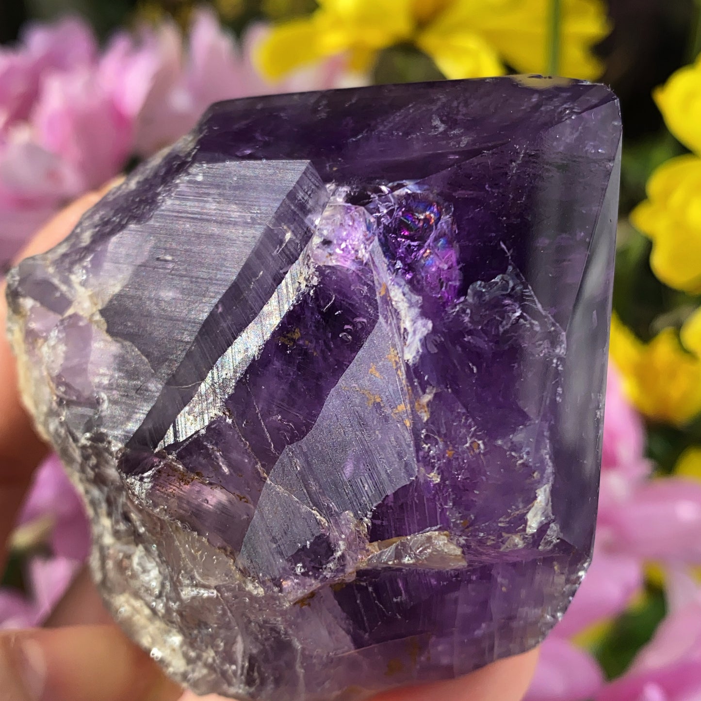 Large Amethyst Dimension Point 8